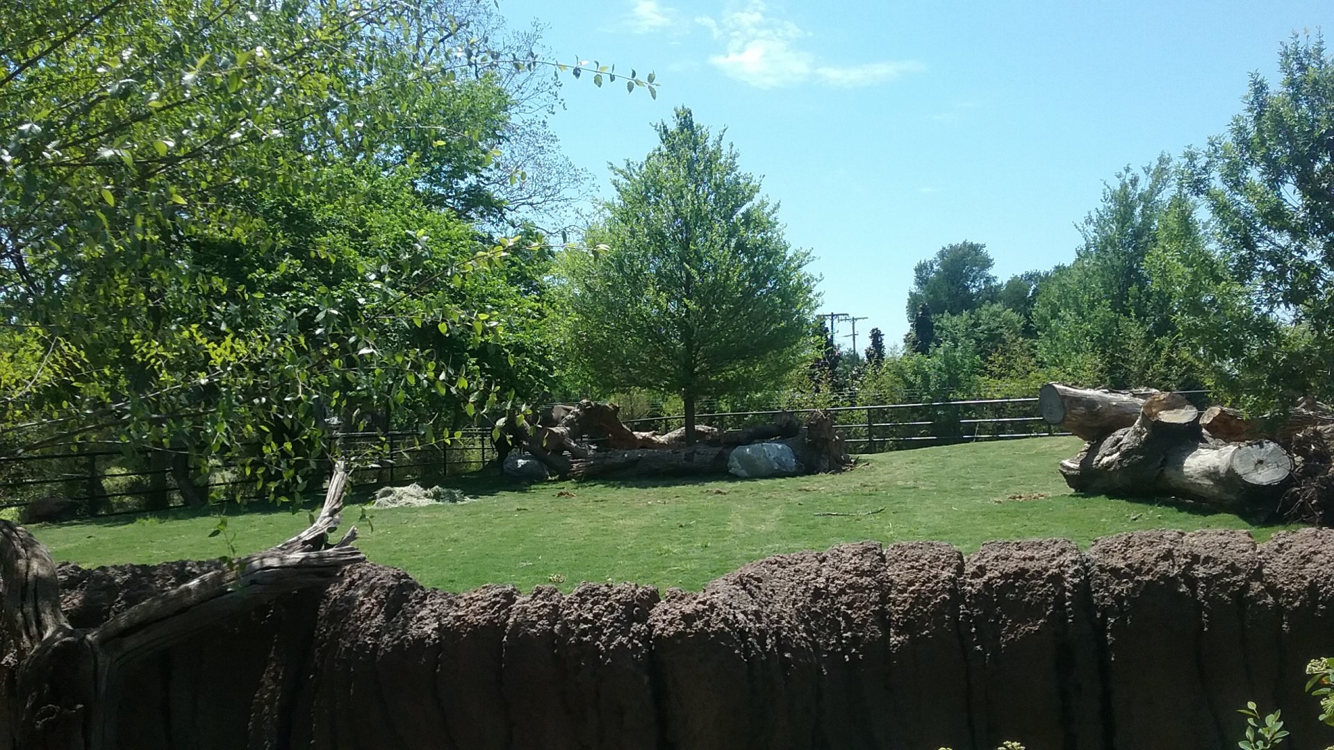 Rhino Paddock 2 again