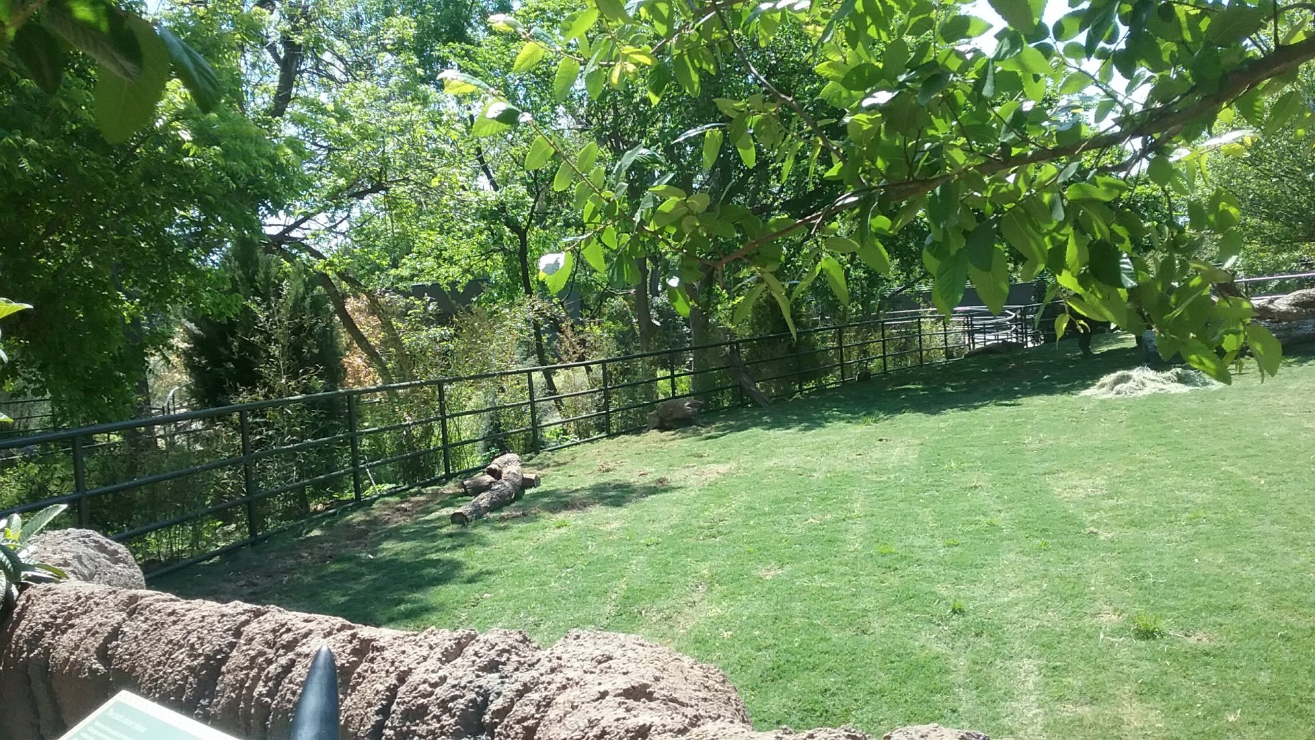 Rhino Paddock 2 once more