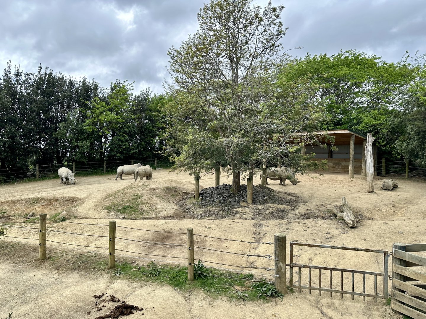 Rhino Paddock 3 (Cow Paddock)