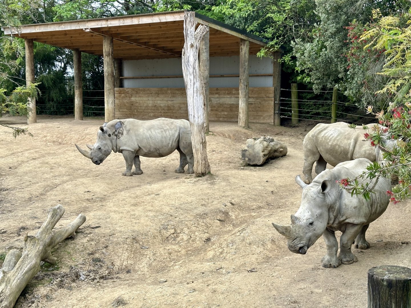 Rhino Paddock 3 (Cow’s Paddock)