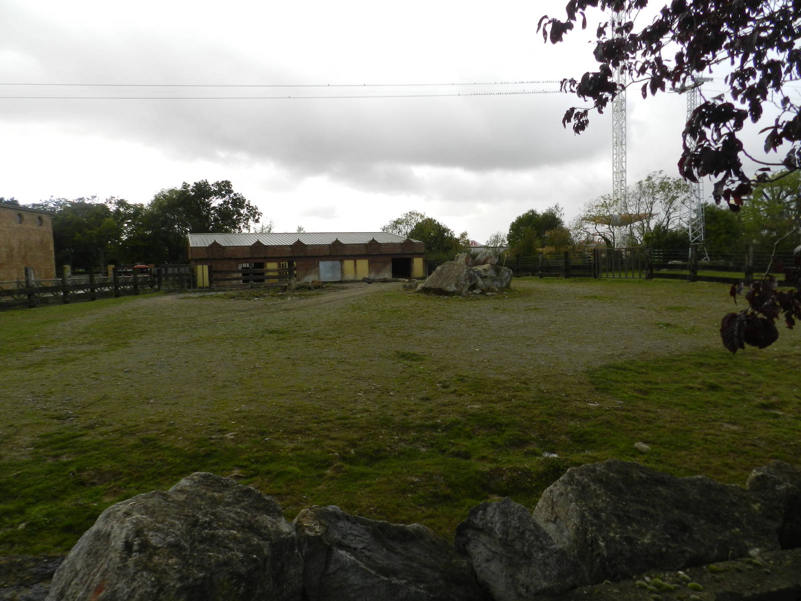 Rhino Paddock at Flamingo Land - 14/10/2012
