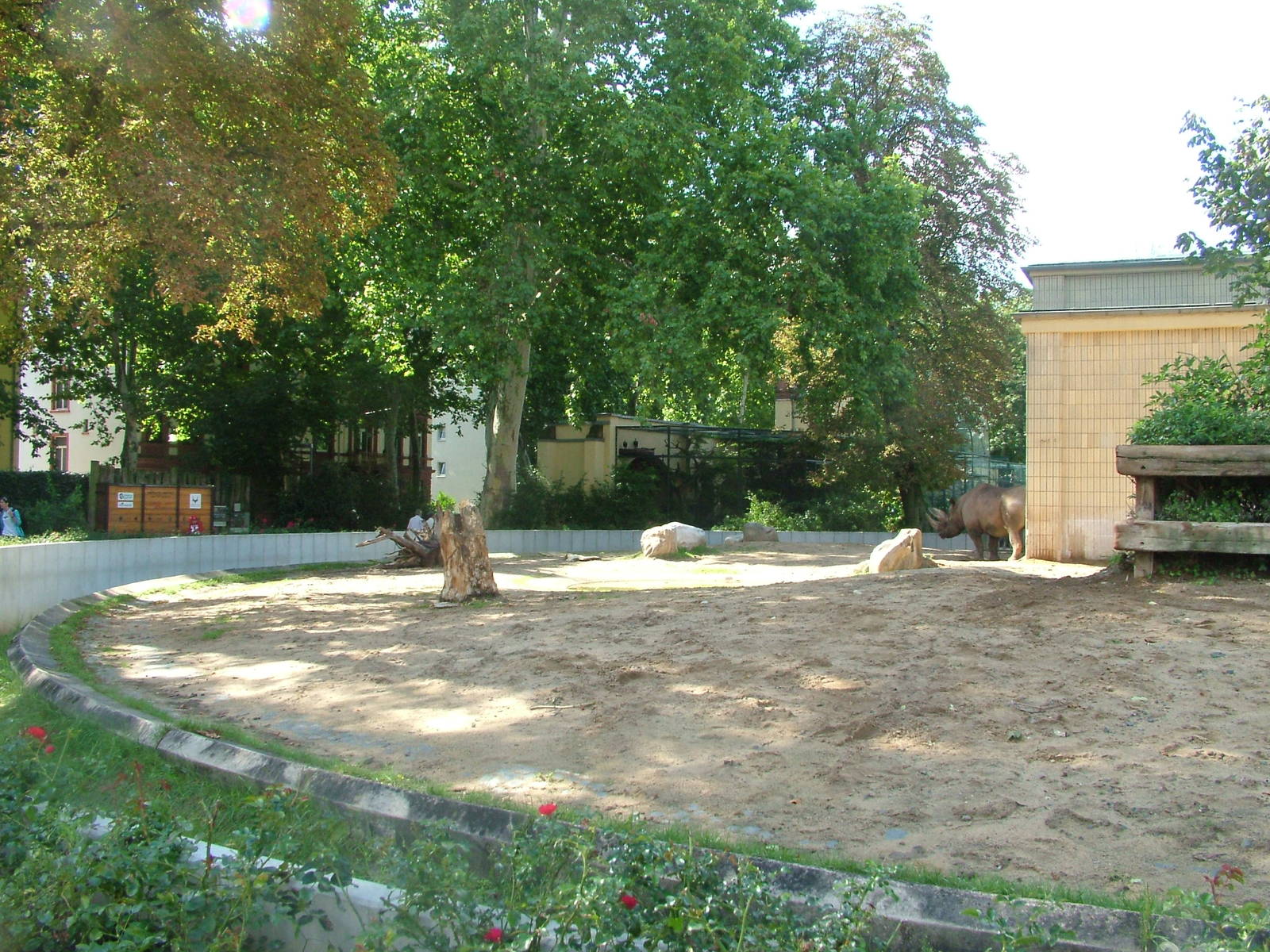 Rhino Paddock at Frankfurt 31/08/10