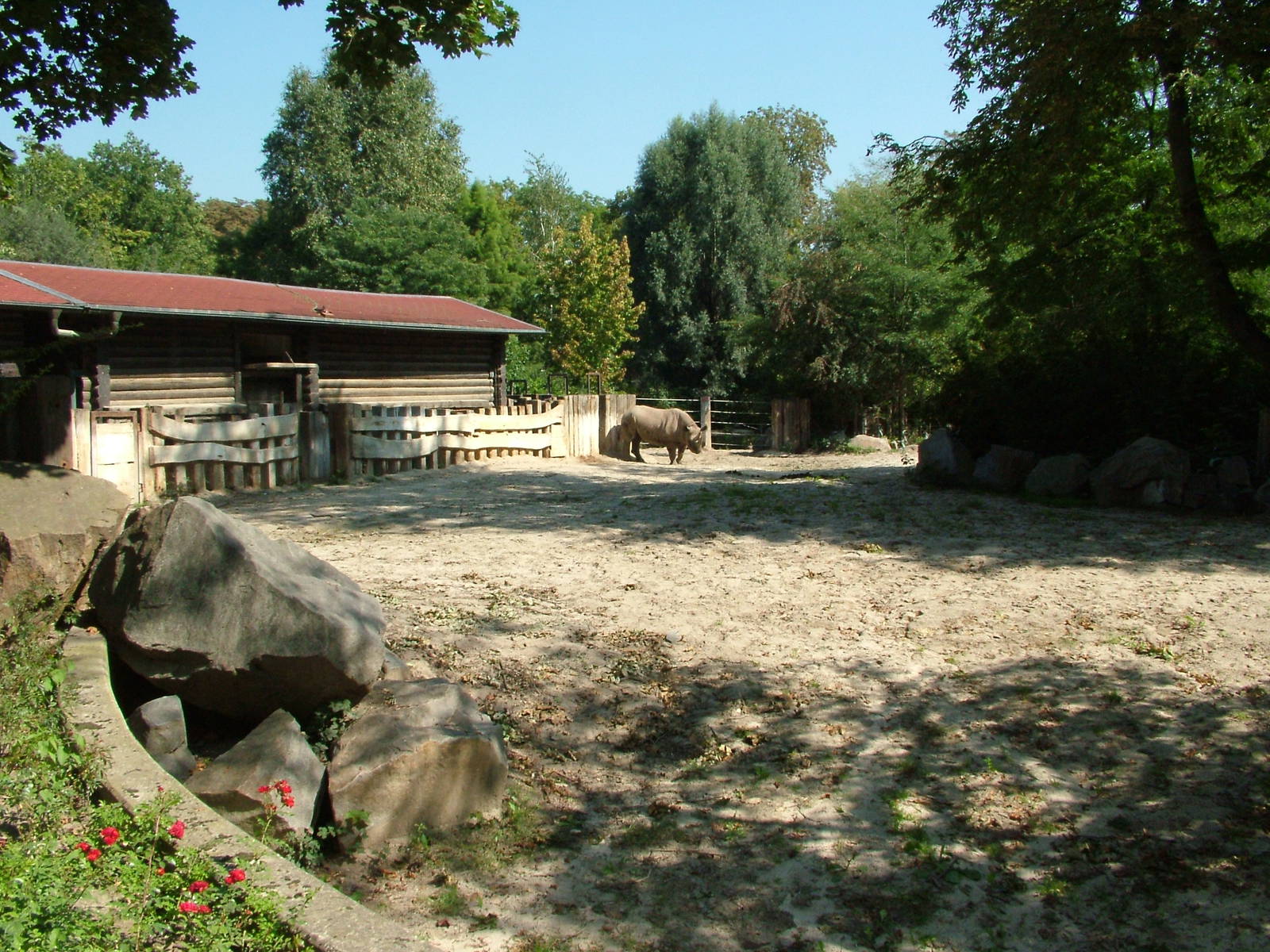 Rhino Paddock at Leipzig, 02/09/11