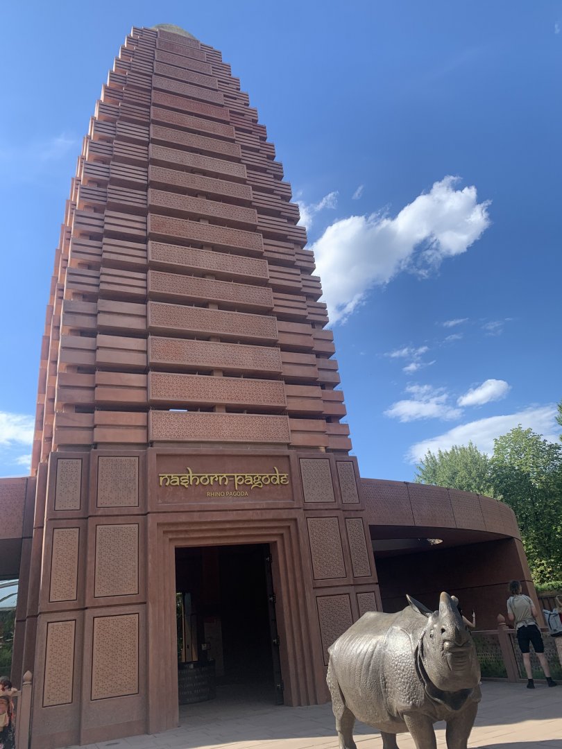 Rhino pagoda outside