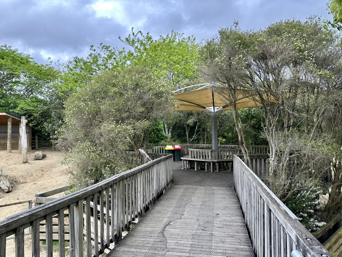 Rhino (Panorama Viewing Deck)