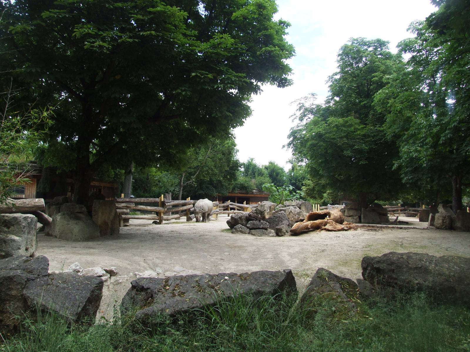 Rhino Park at Vienna, 14/06/13