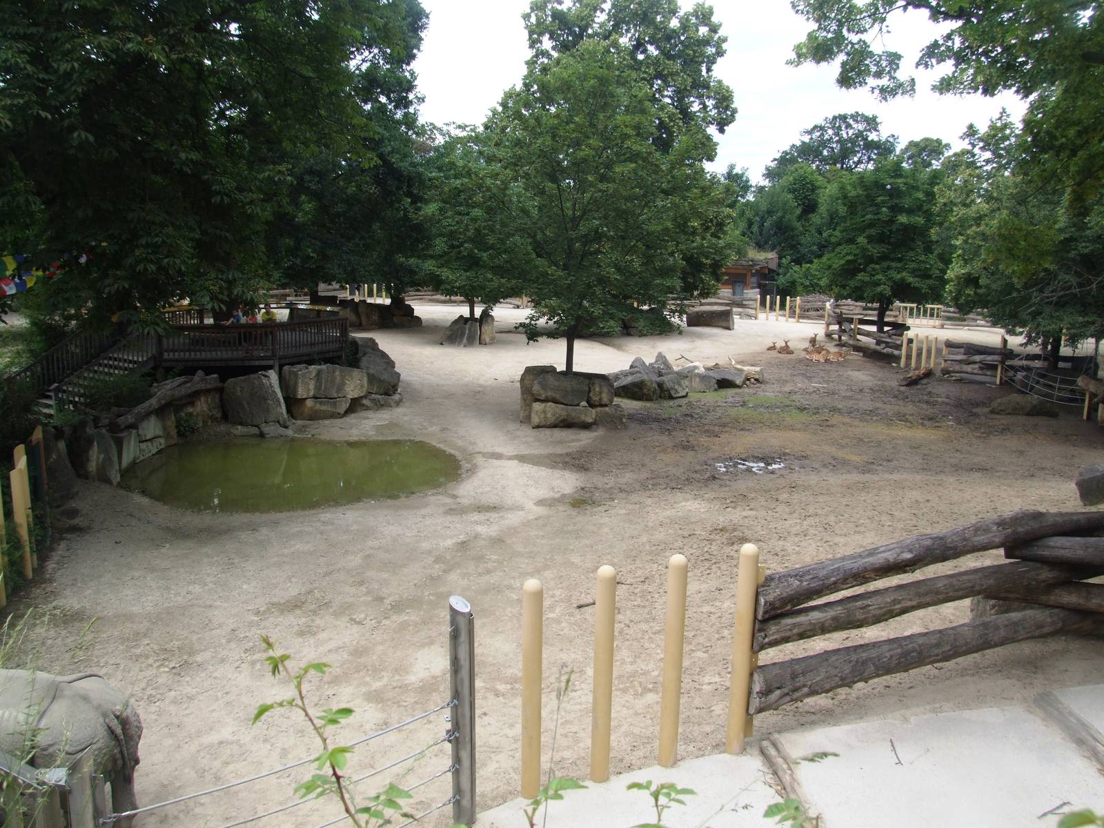 Rhino Park at Vienna, 14/06/13