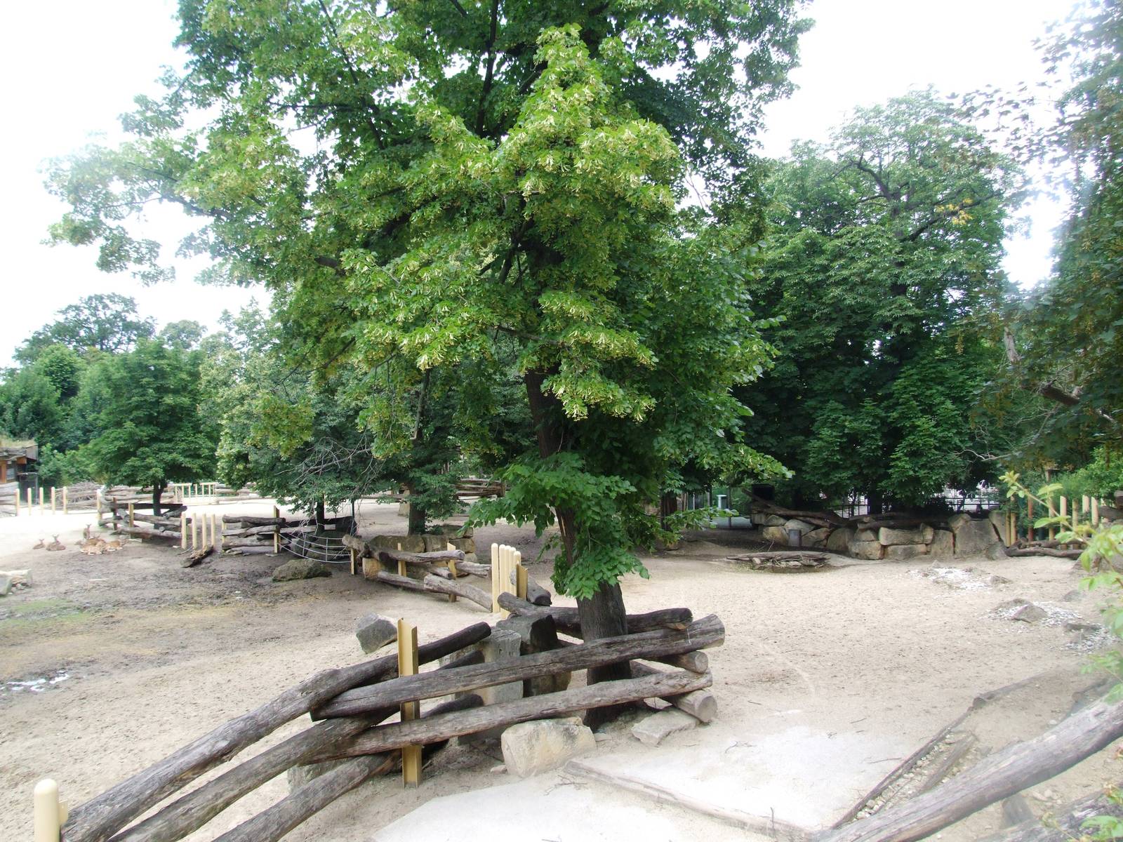 Rhino Park at Vienna, 14/06/13