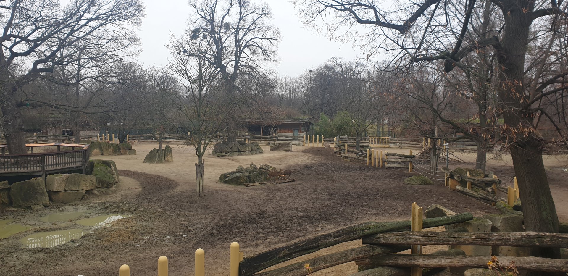Rhino Park