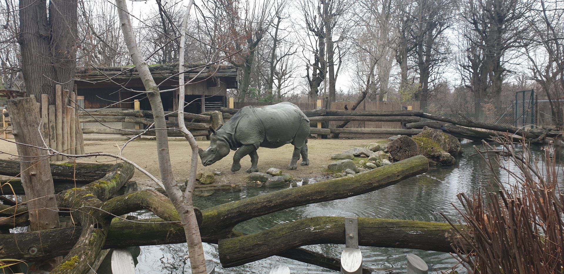 Rhino Park
