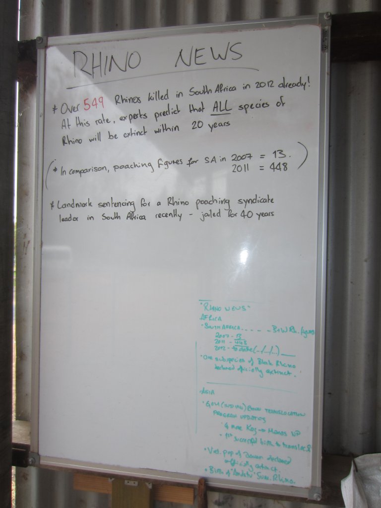 Rhino poaching notice