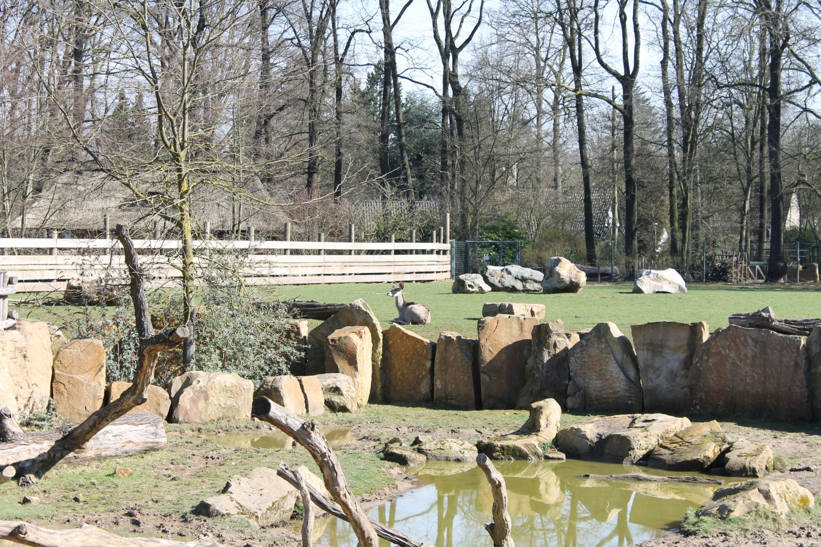 Rhino-pool ( front ) and African plain ( at the back )