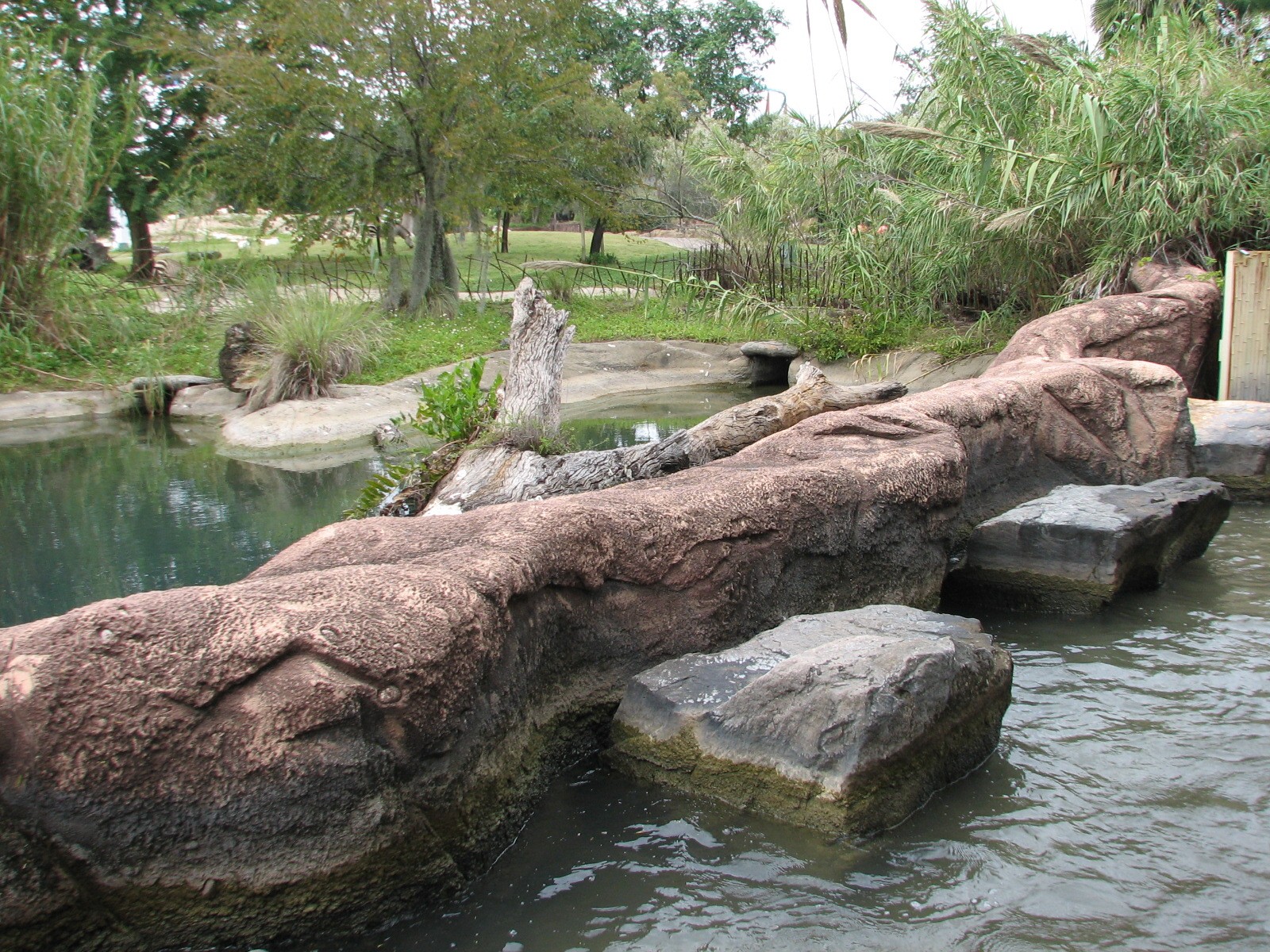 Rhino Rally - Nile Crocodile Exhibit