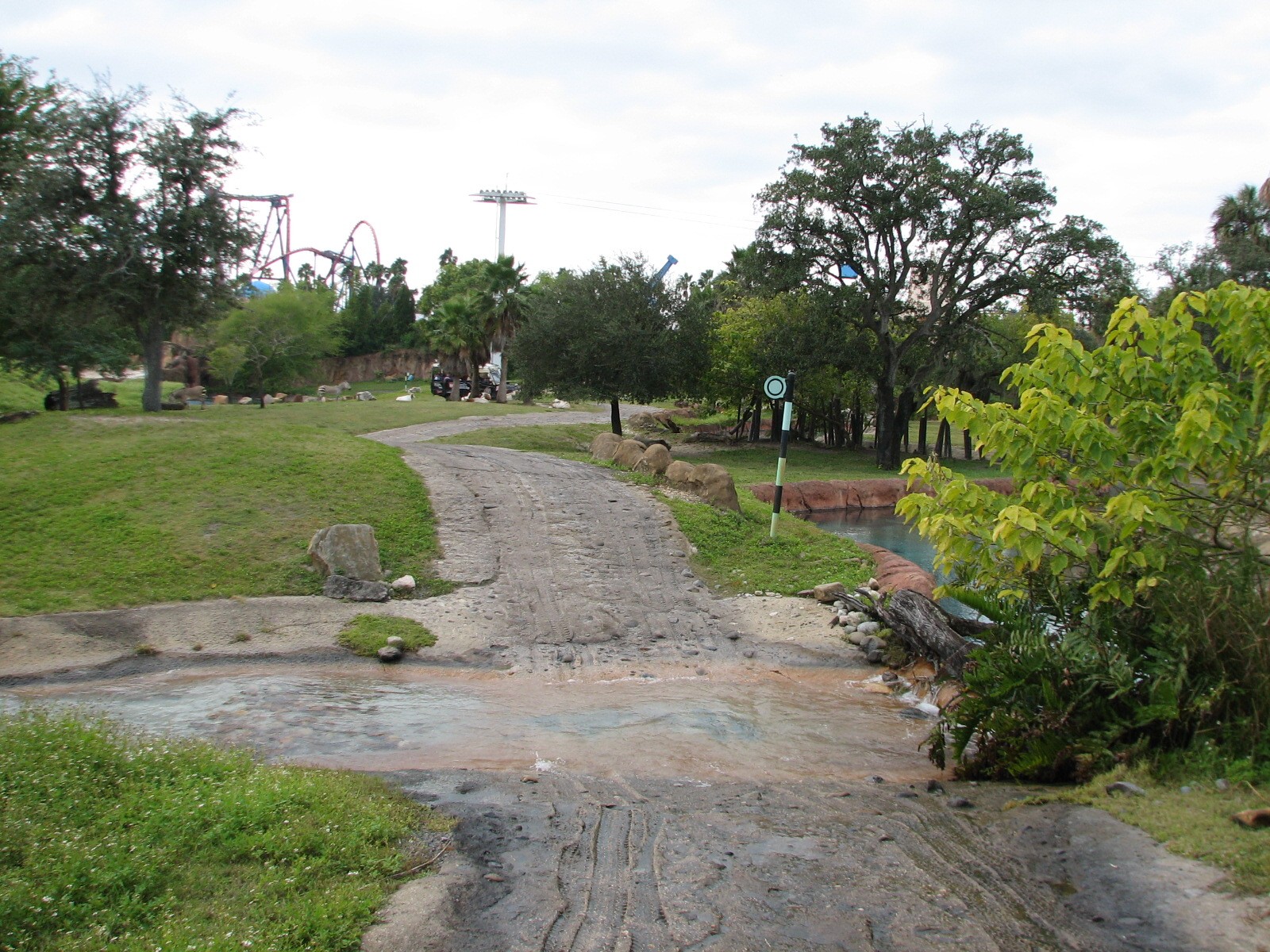 Rhino Rally - Scimitar-horned Oryx, Mountain Zebra, and Flamingo Exhibit