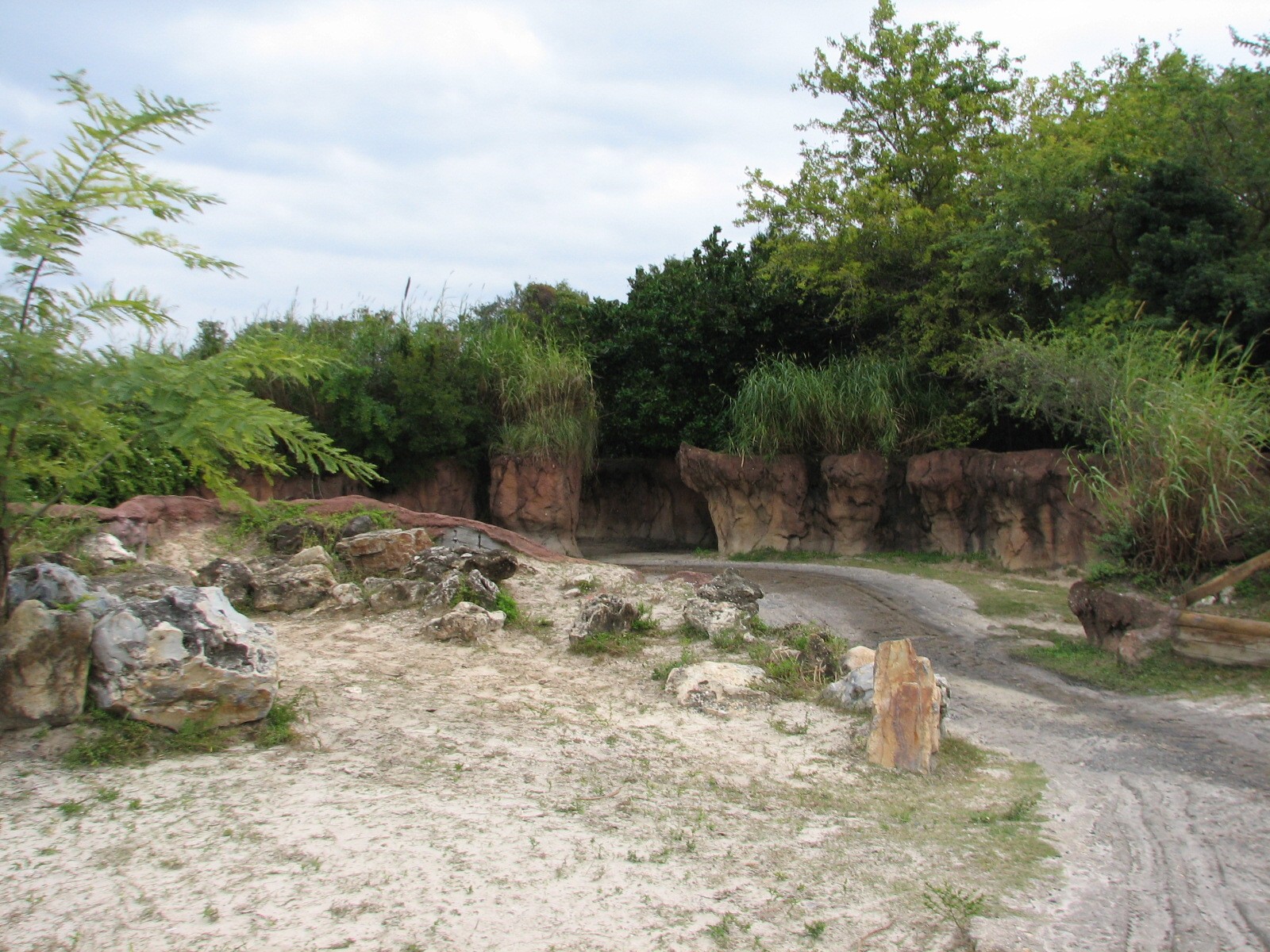 Rhino Rally - White Rhinoceros Exhibit