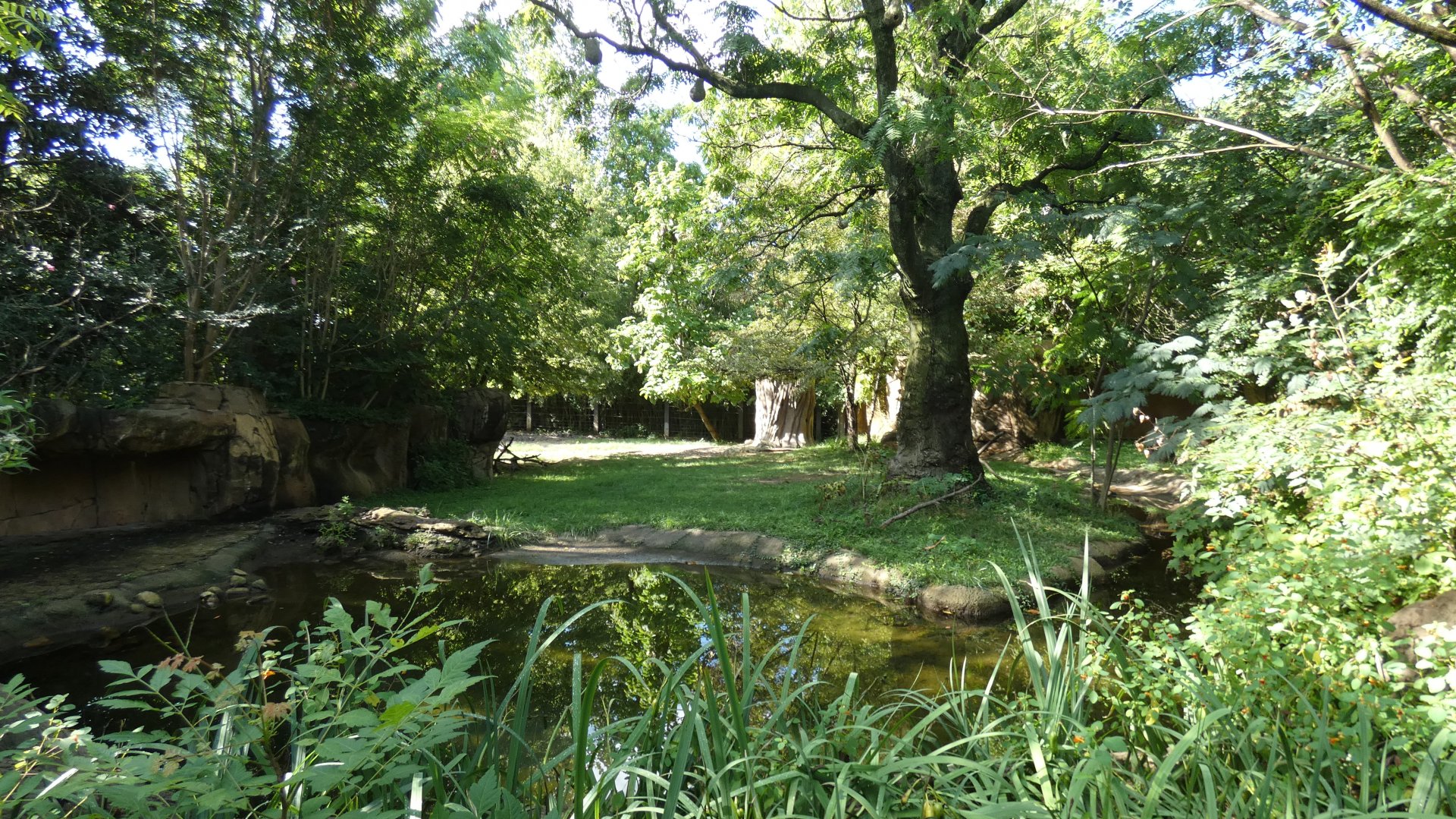 Rhino Reserve, Africa, River's Edge - Sep. 2021