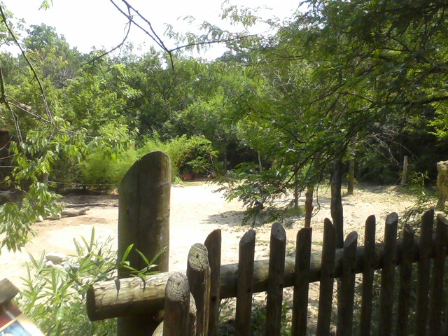 Rhino Reserve- Eastern Bongo and East African Crowned Crane yard