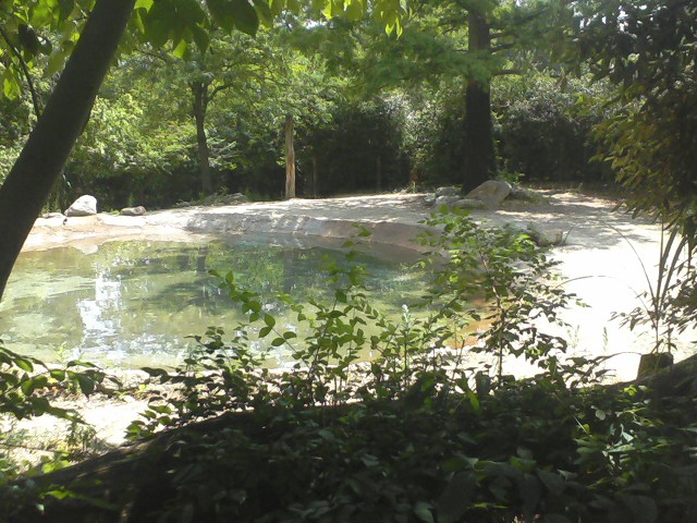 Rhino Reserve- First Indian Rhino exhibit