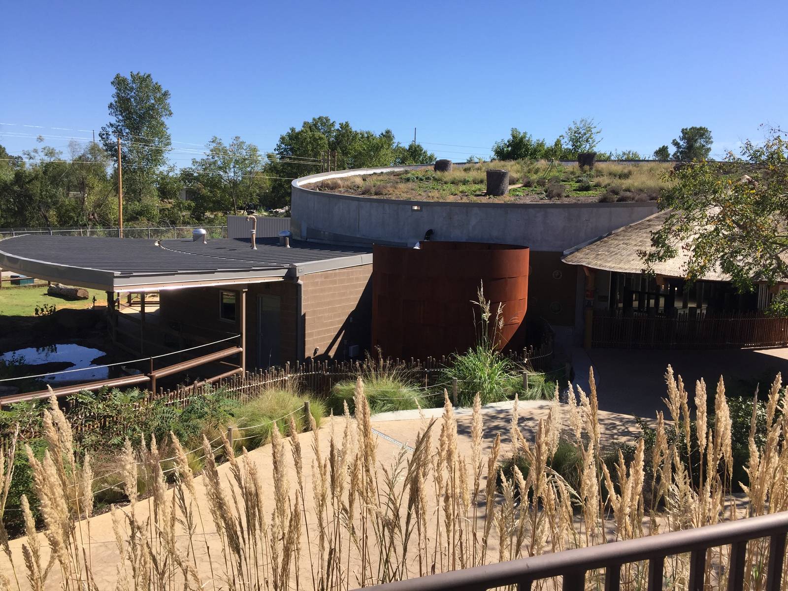 Rhino Reserve - green roof