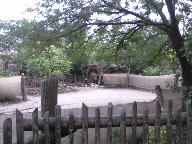Rhino Reserve- Okapi yard
