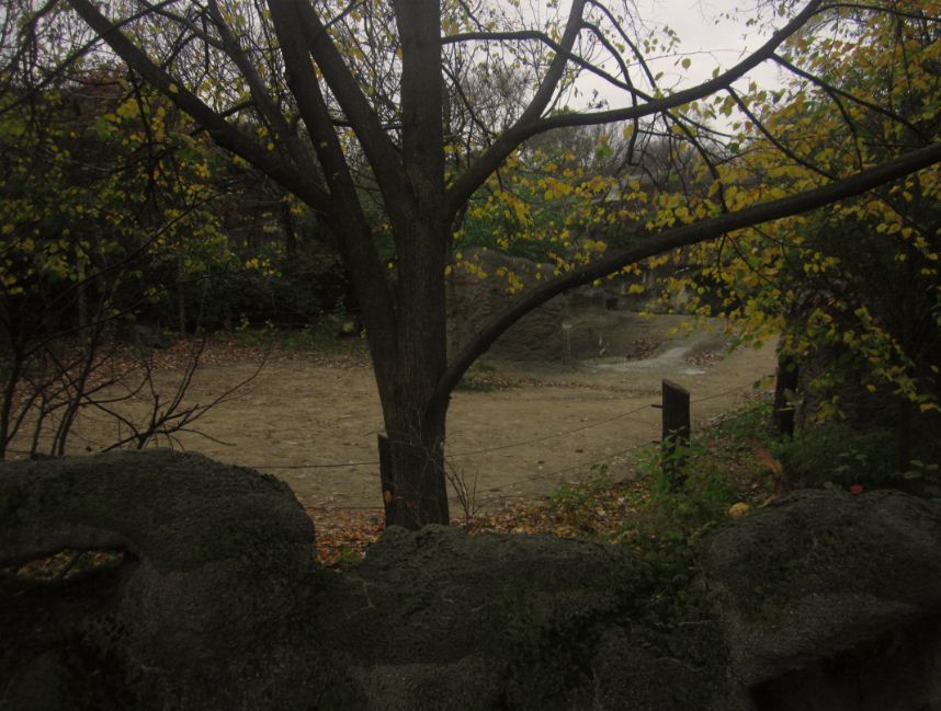 Rhino Reserve-Third Indian Rhinoceros exhibit