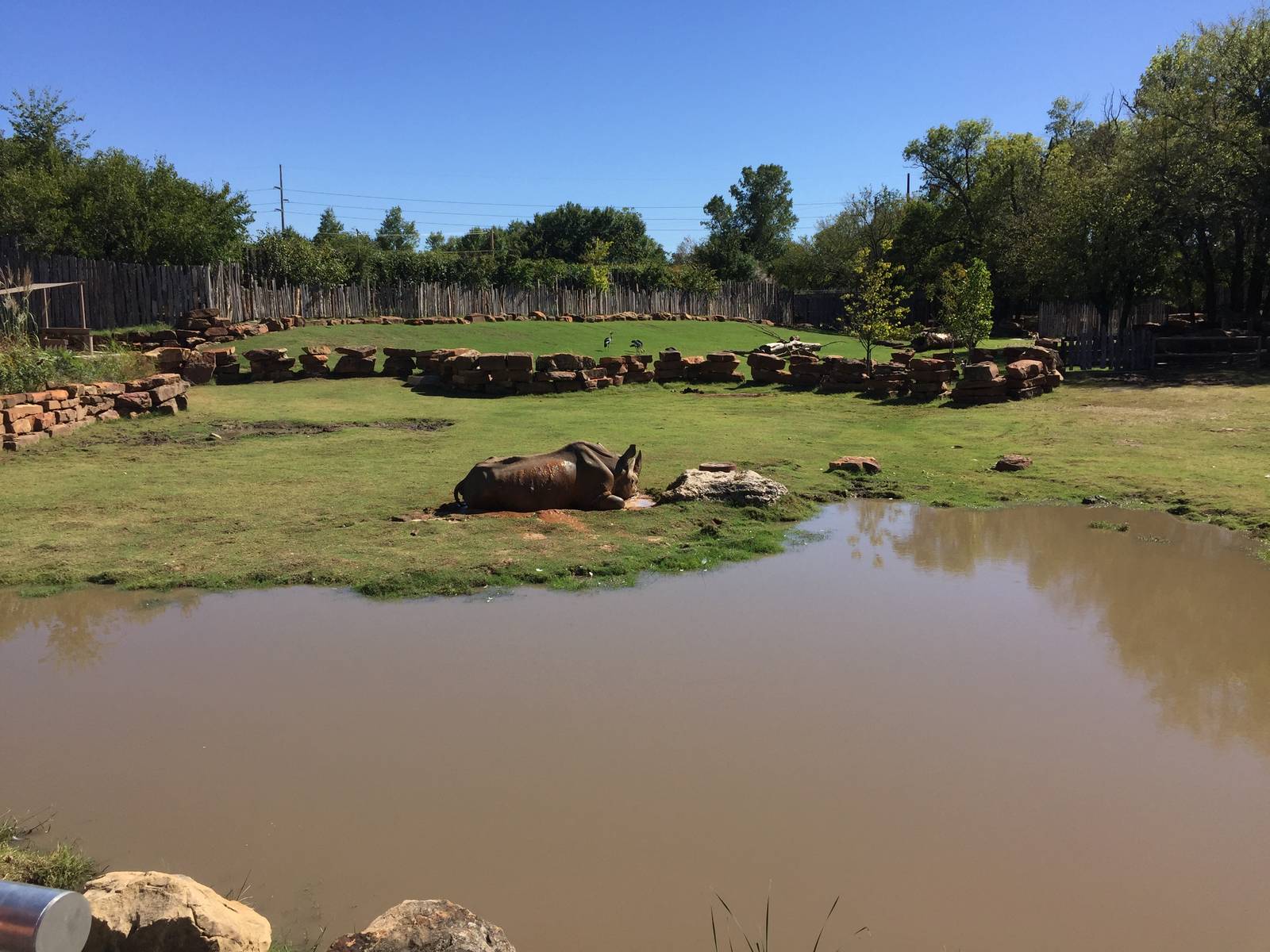 Rhino Reserve