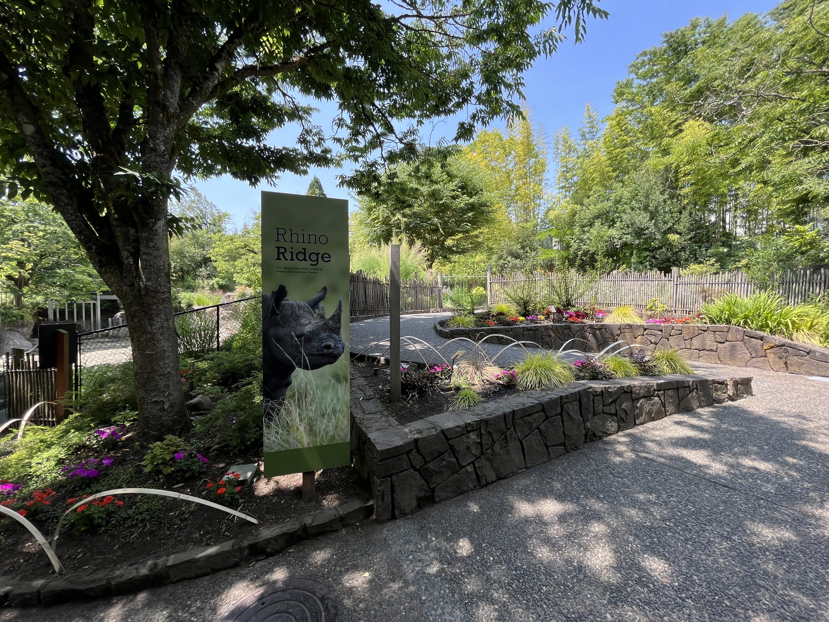 Rhino Ridge - New in 2021