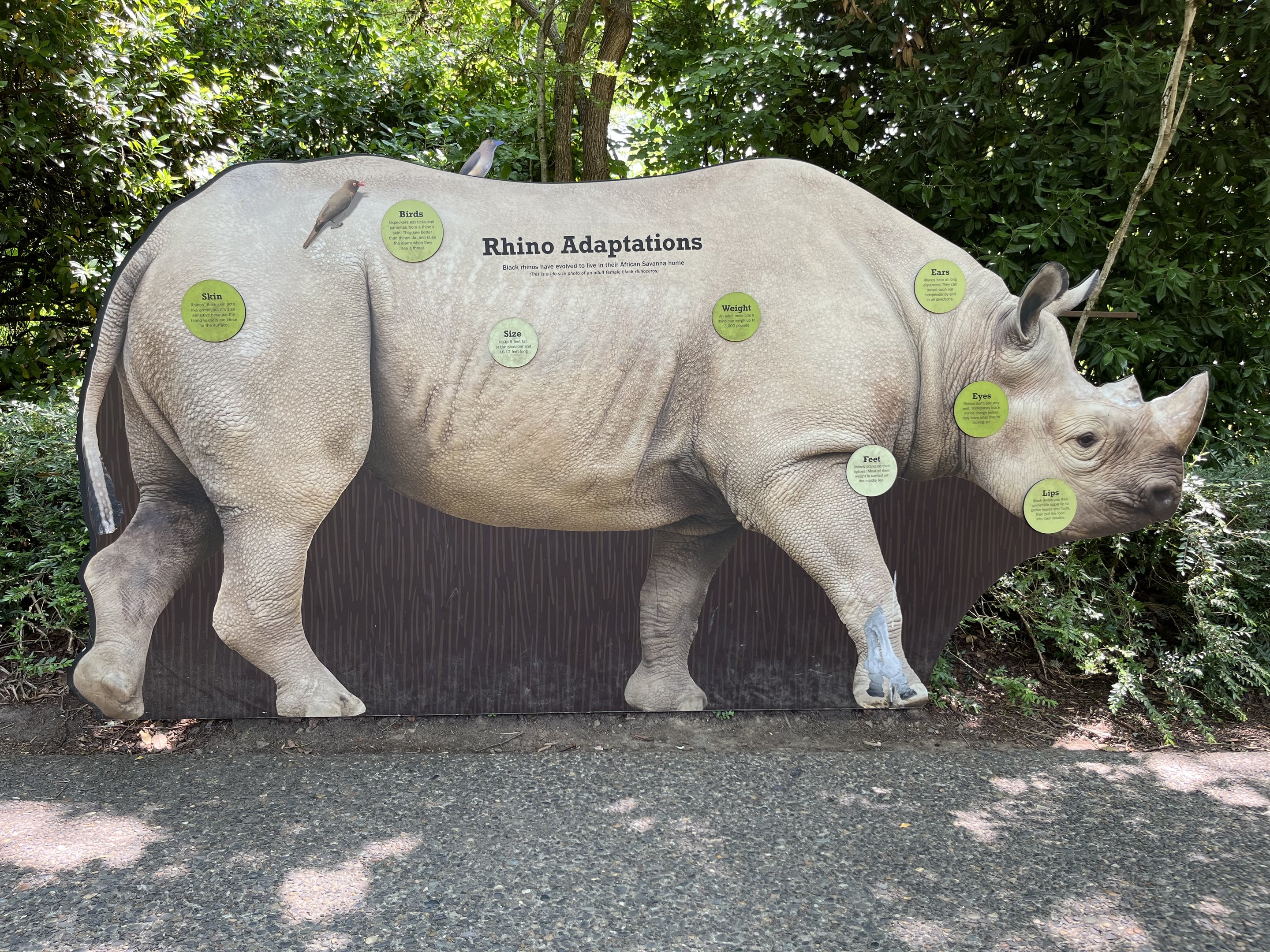 Rhino Ridge - New in 2021