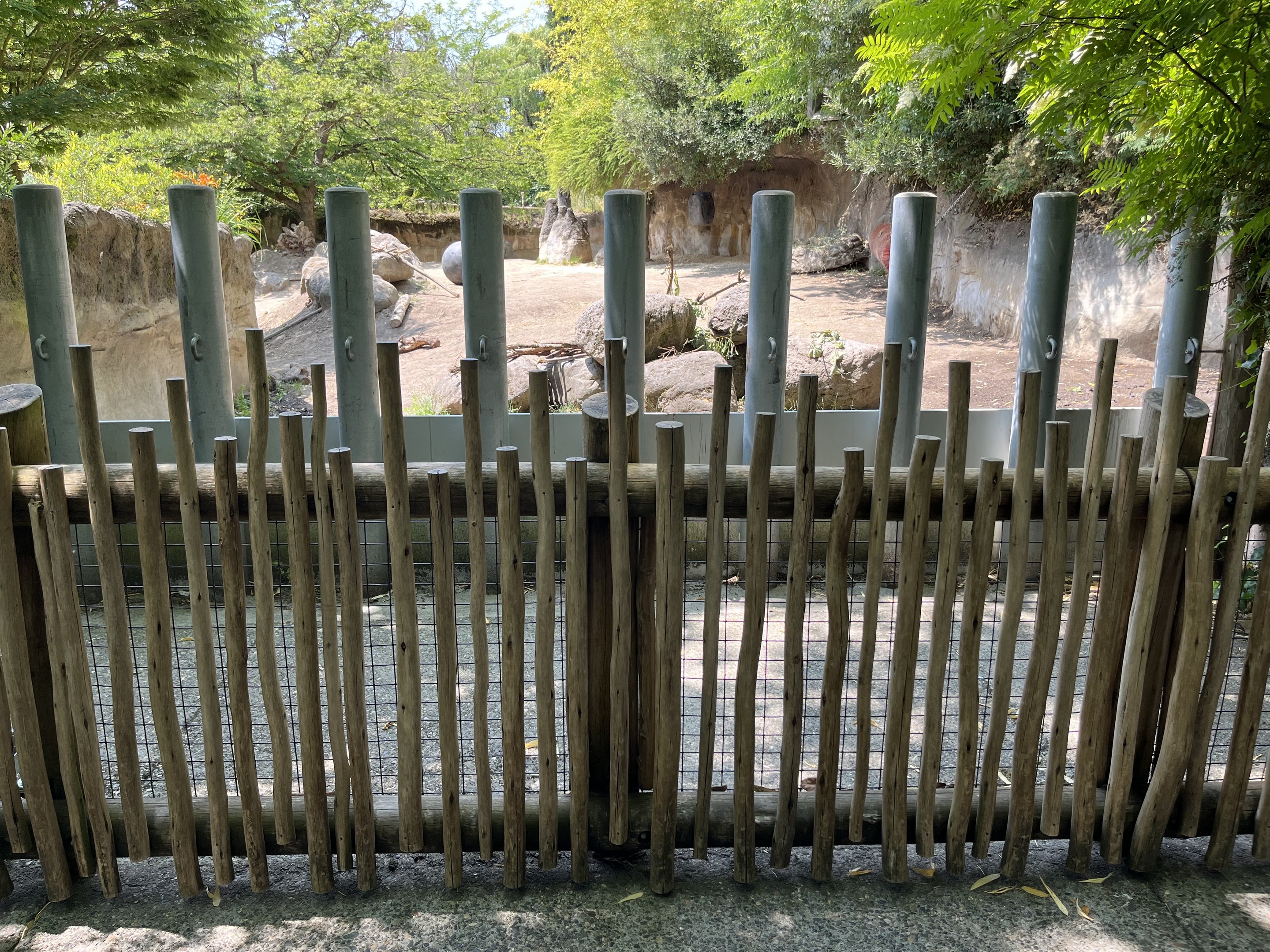 Rhino Ridge - New in 2021