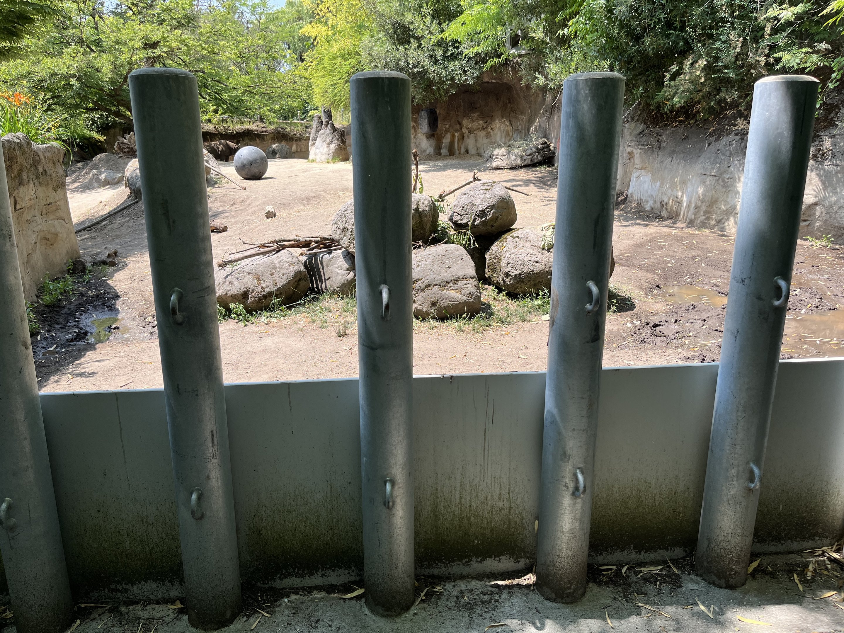 Rhino Ridge - Training Wall