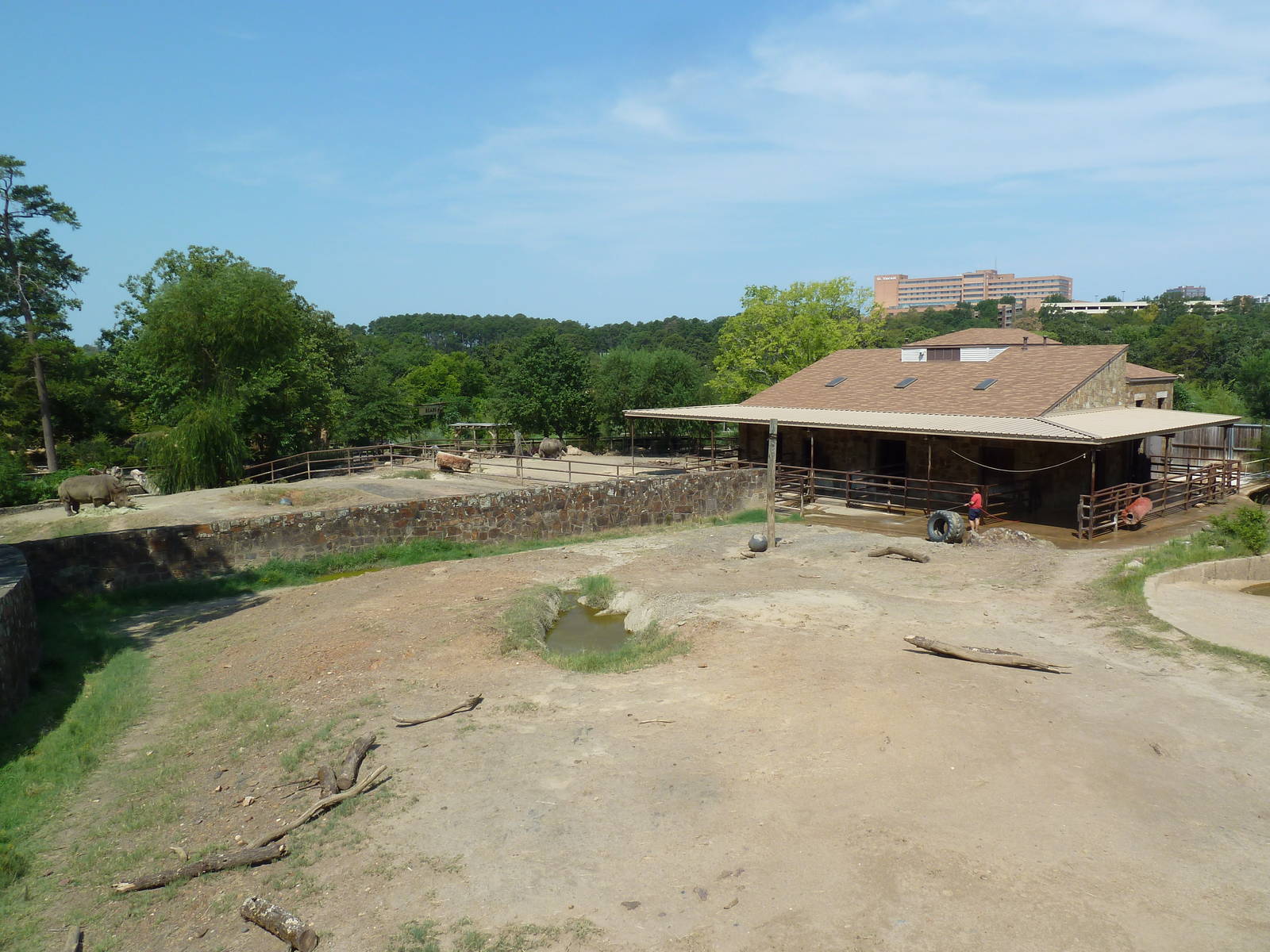 Rhino Rotational Exhibit (Black + White Rhino)