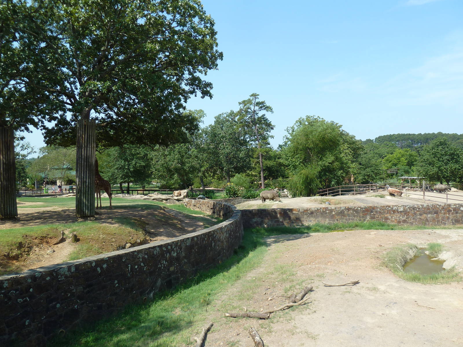Rhino Rotational + Reticulated Giraffe Exhibits