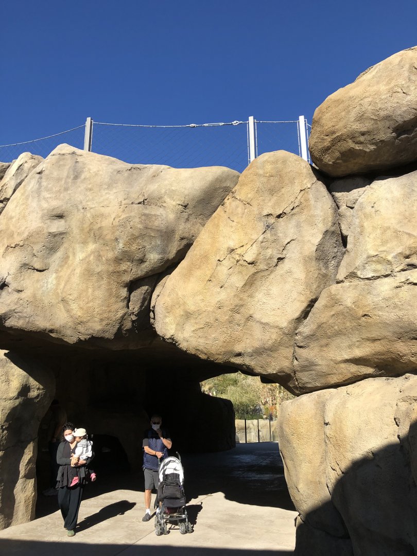 Rhino Savanna Bridge