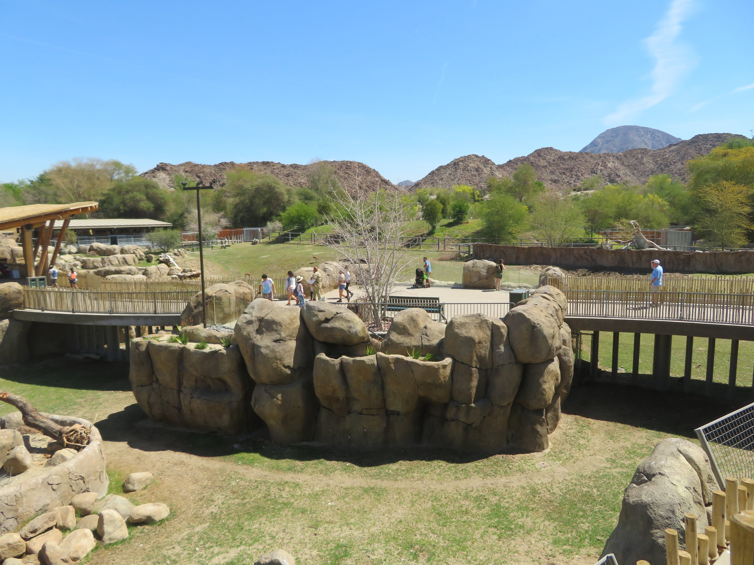 Rhino Savanna Bridge