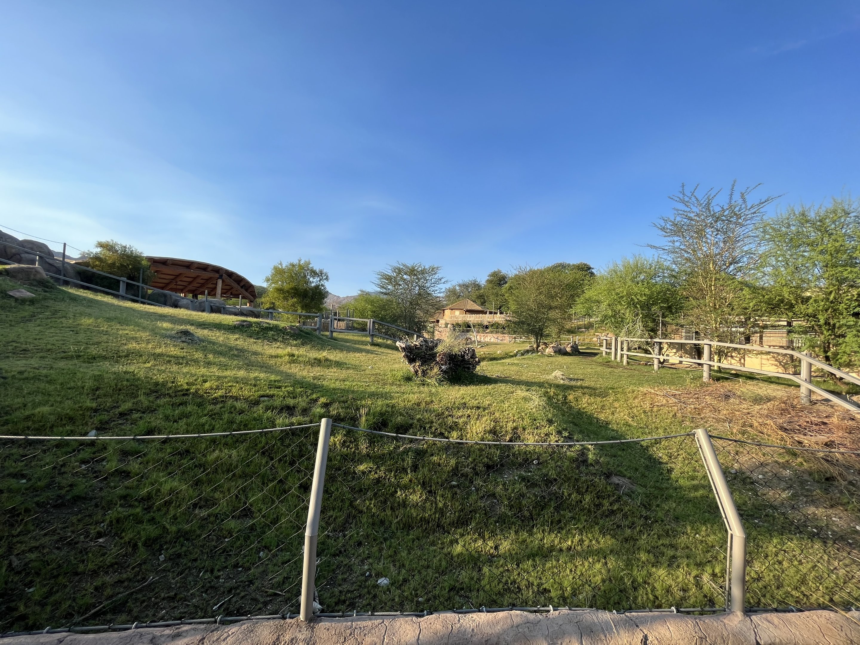 Rhino Savanna - New in 2021