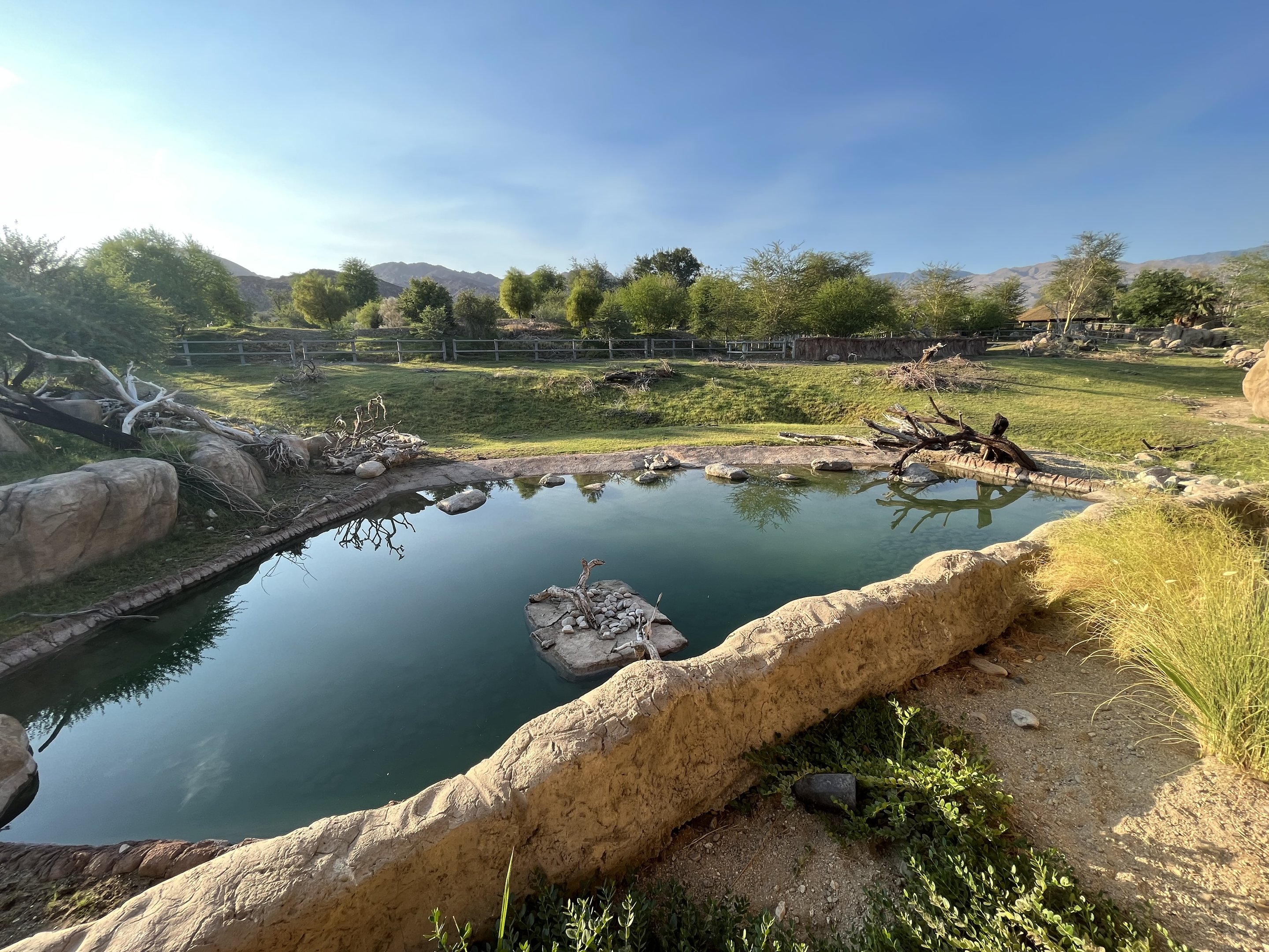 Rhino Savanna - New in 2021