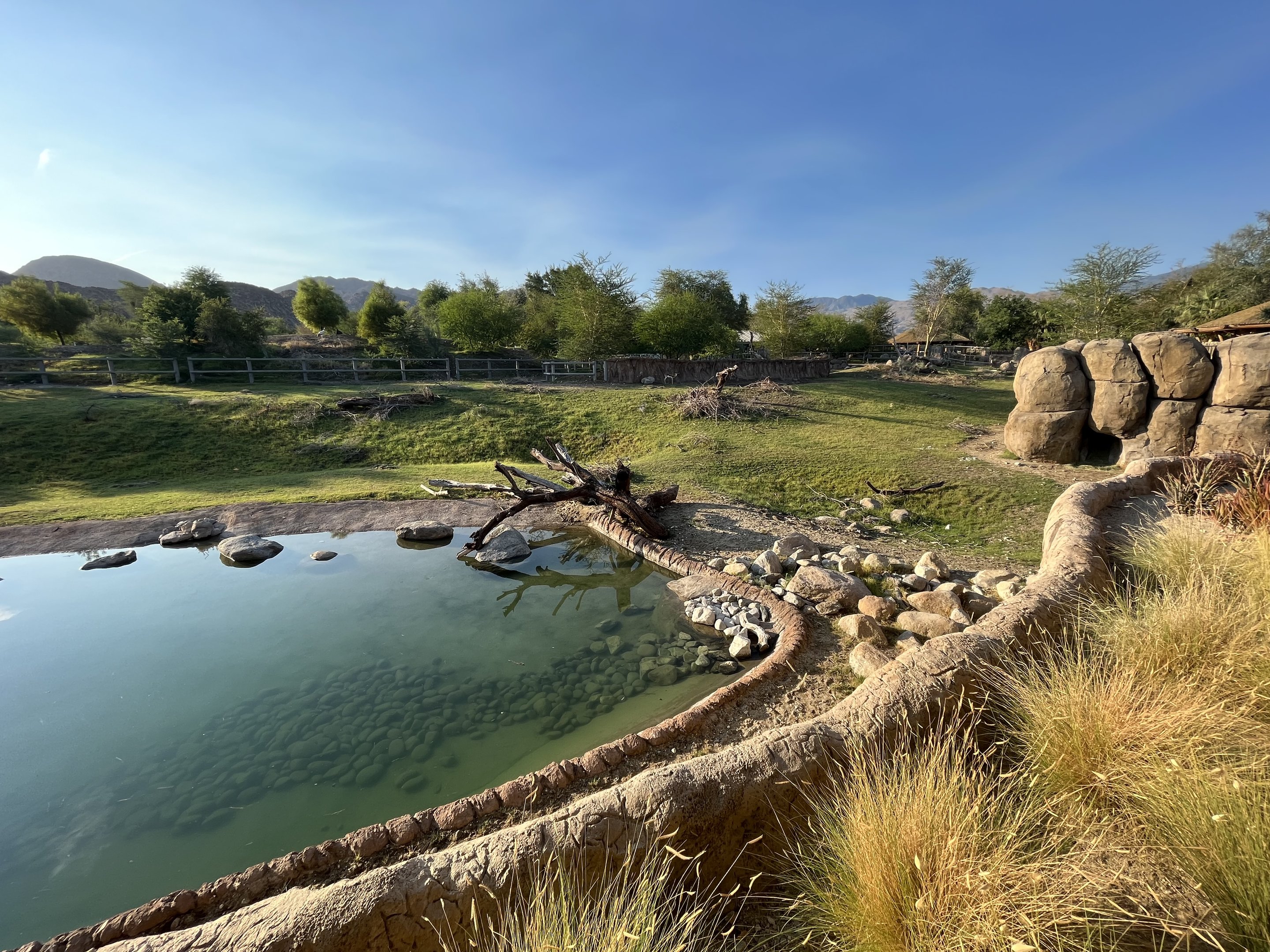 Rhino Savanna - New in 2021