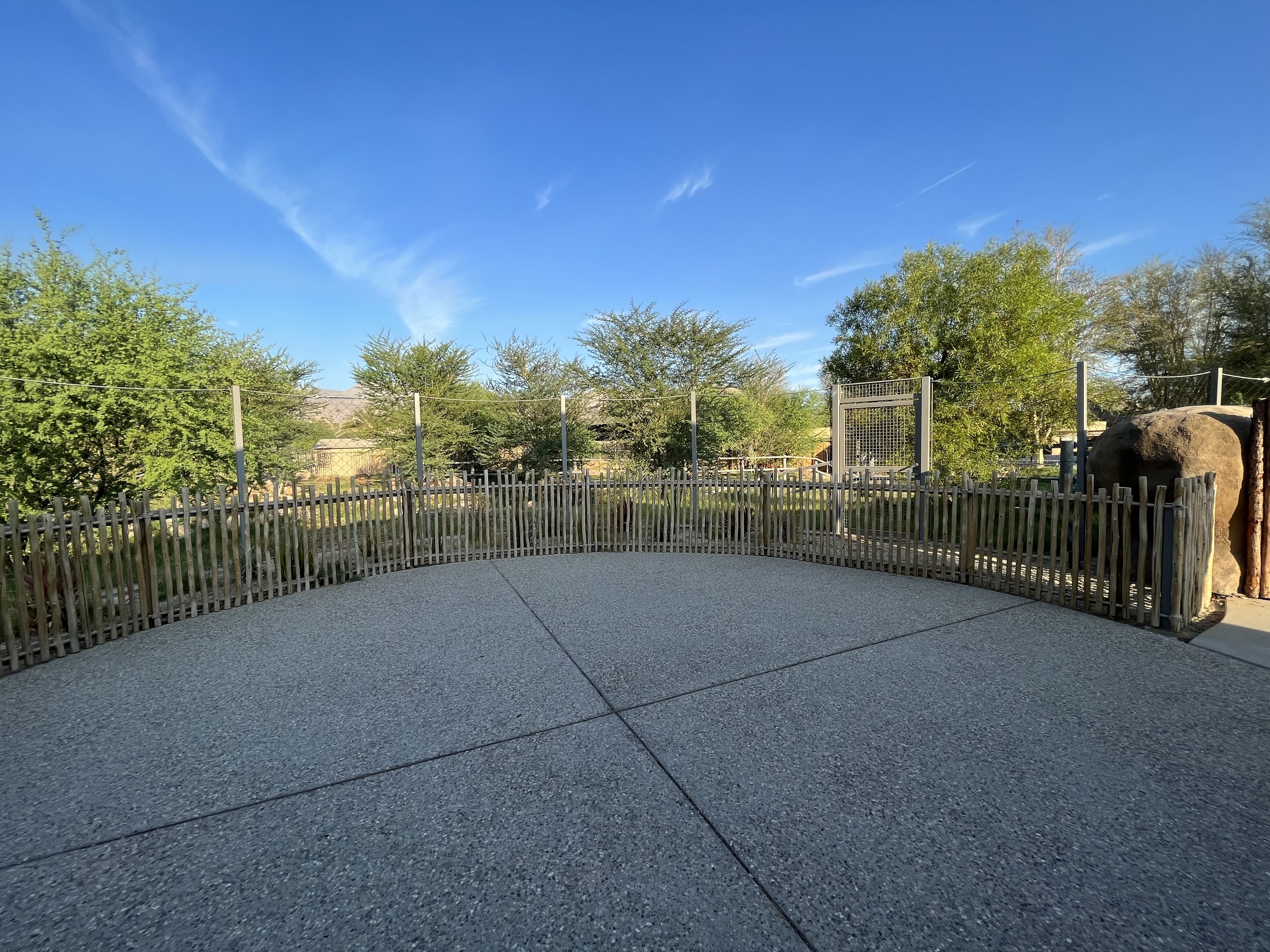 Rhino Savanna - New in 2021