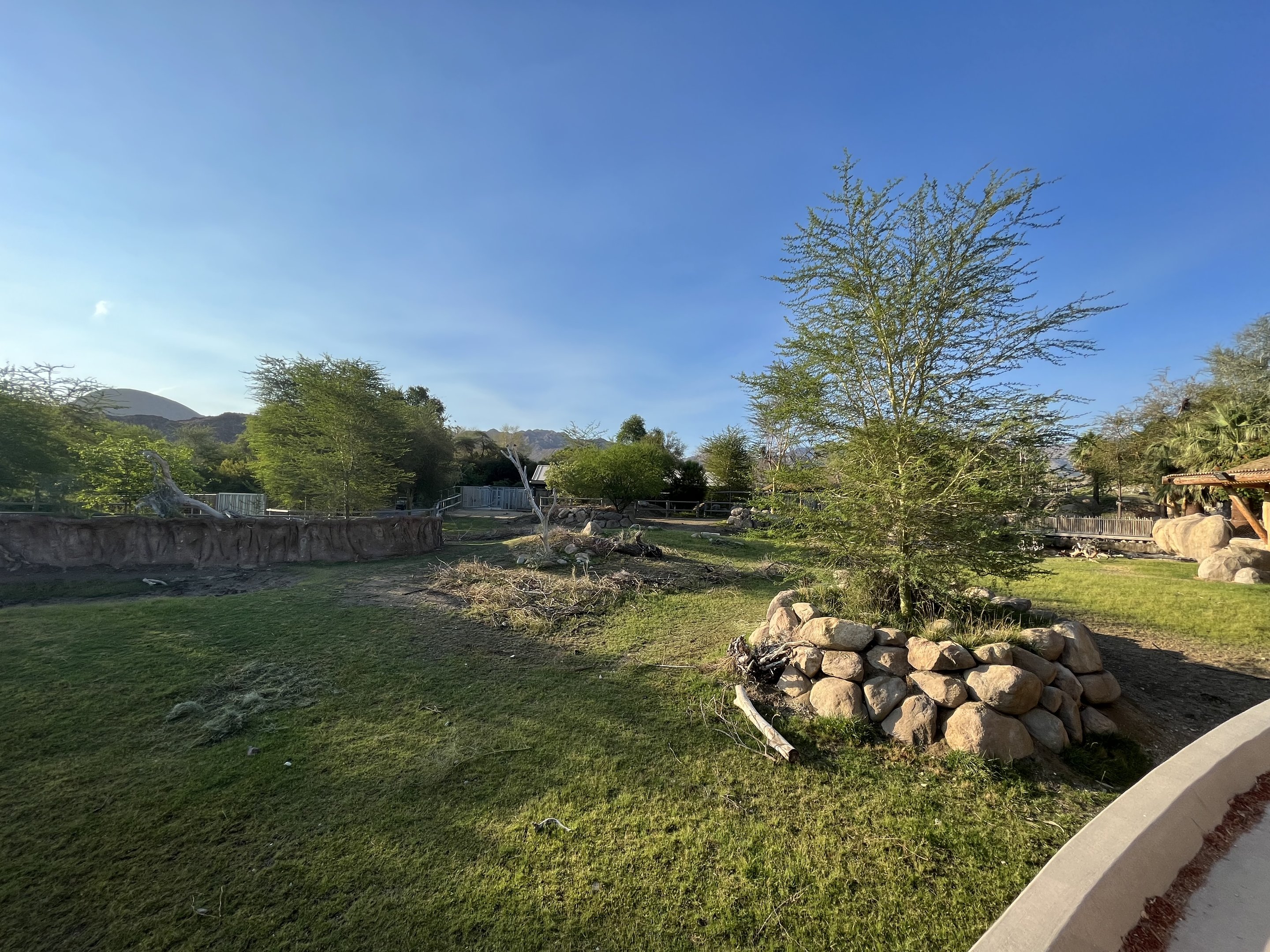 Rhino Savanna - New in 2021