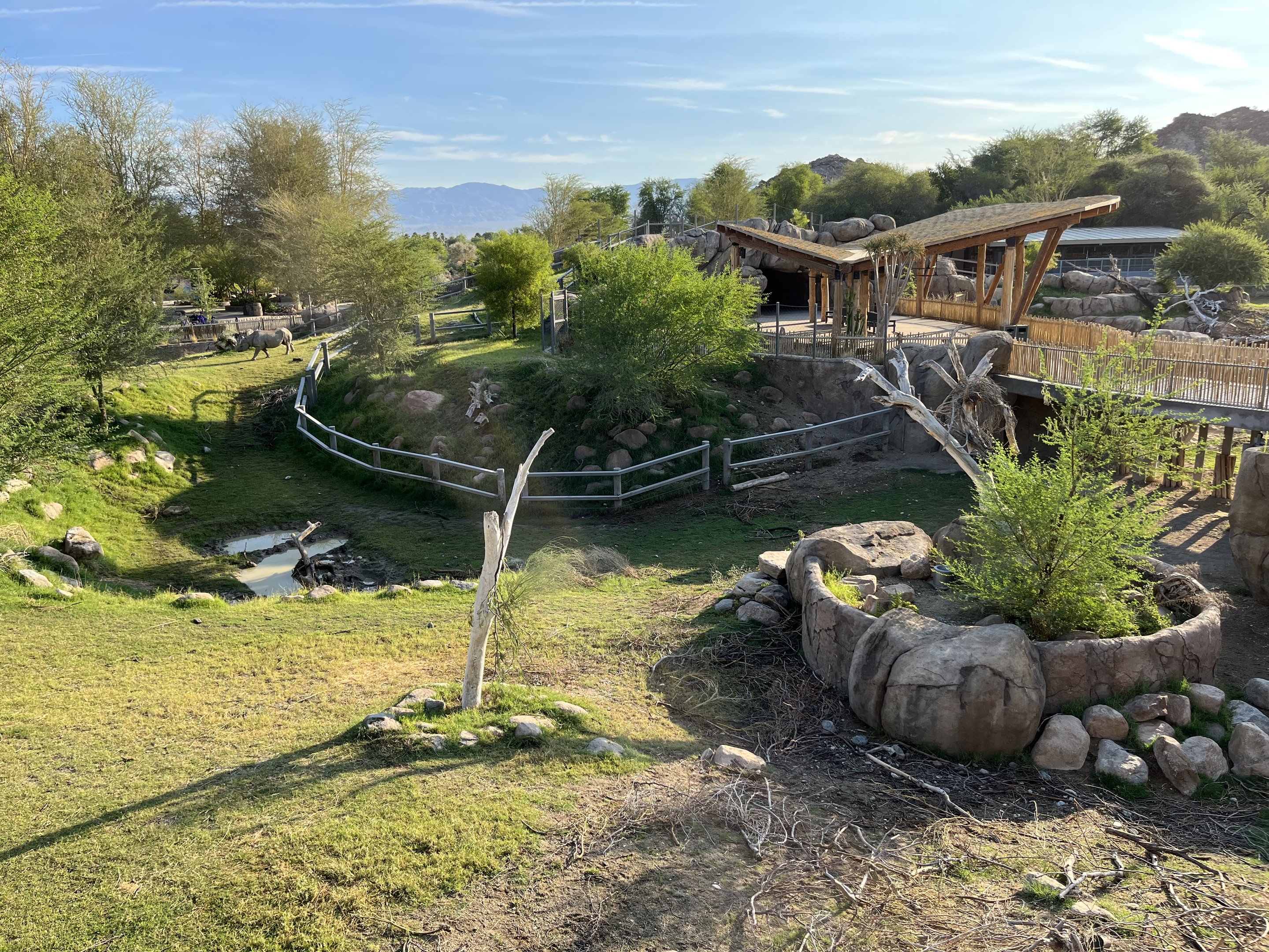 Rhino Savanna - New in 2021