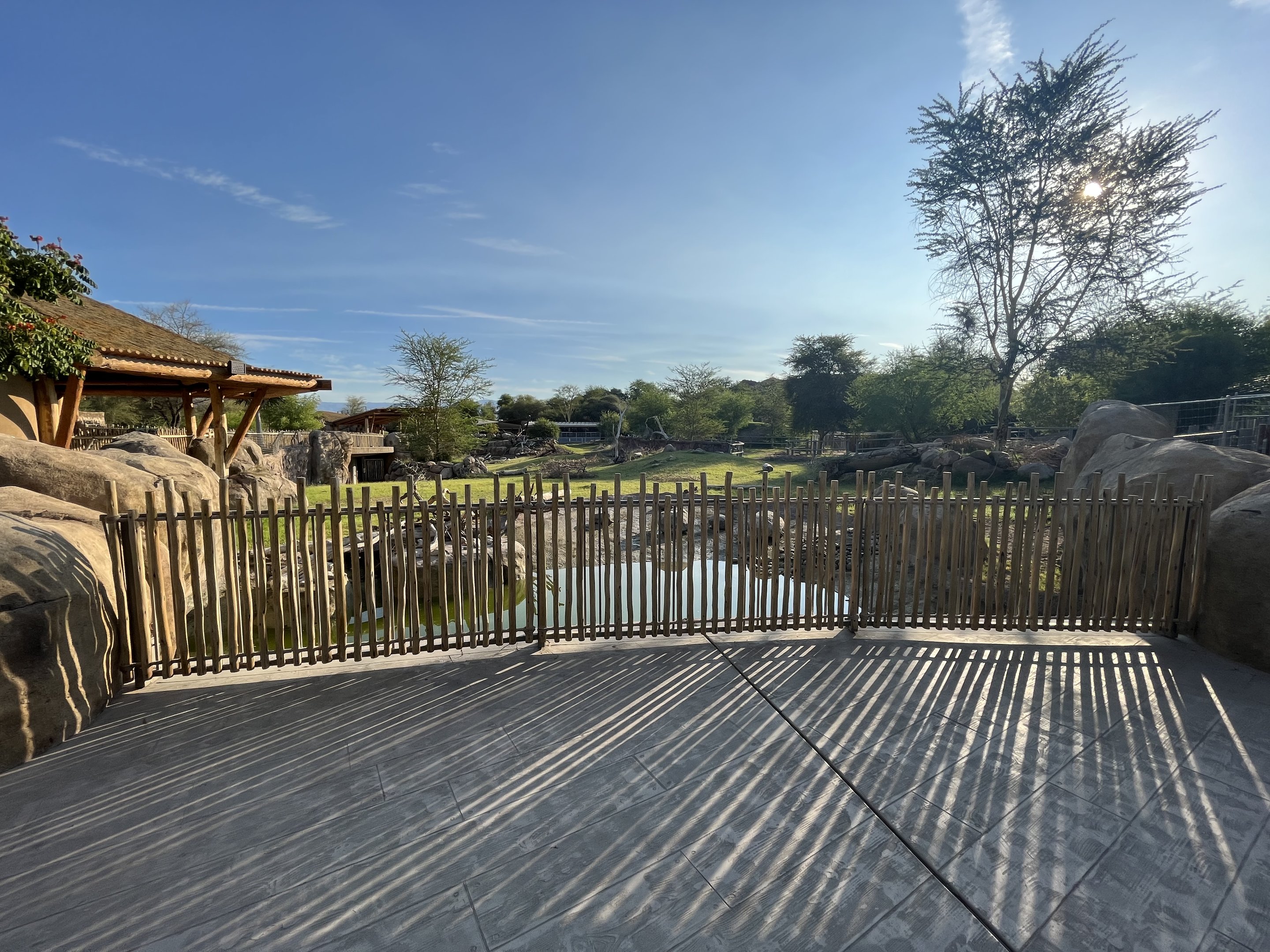 Rhino Savanna - New in 2021