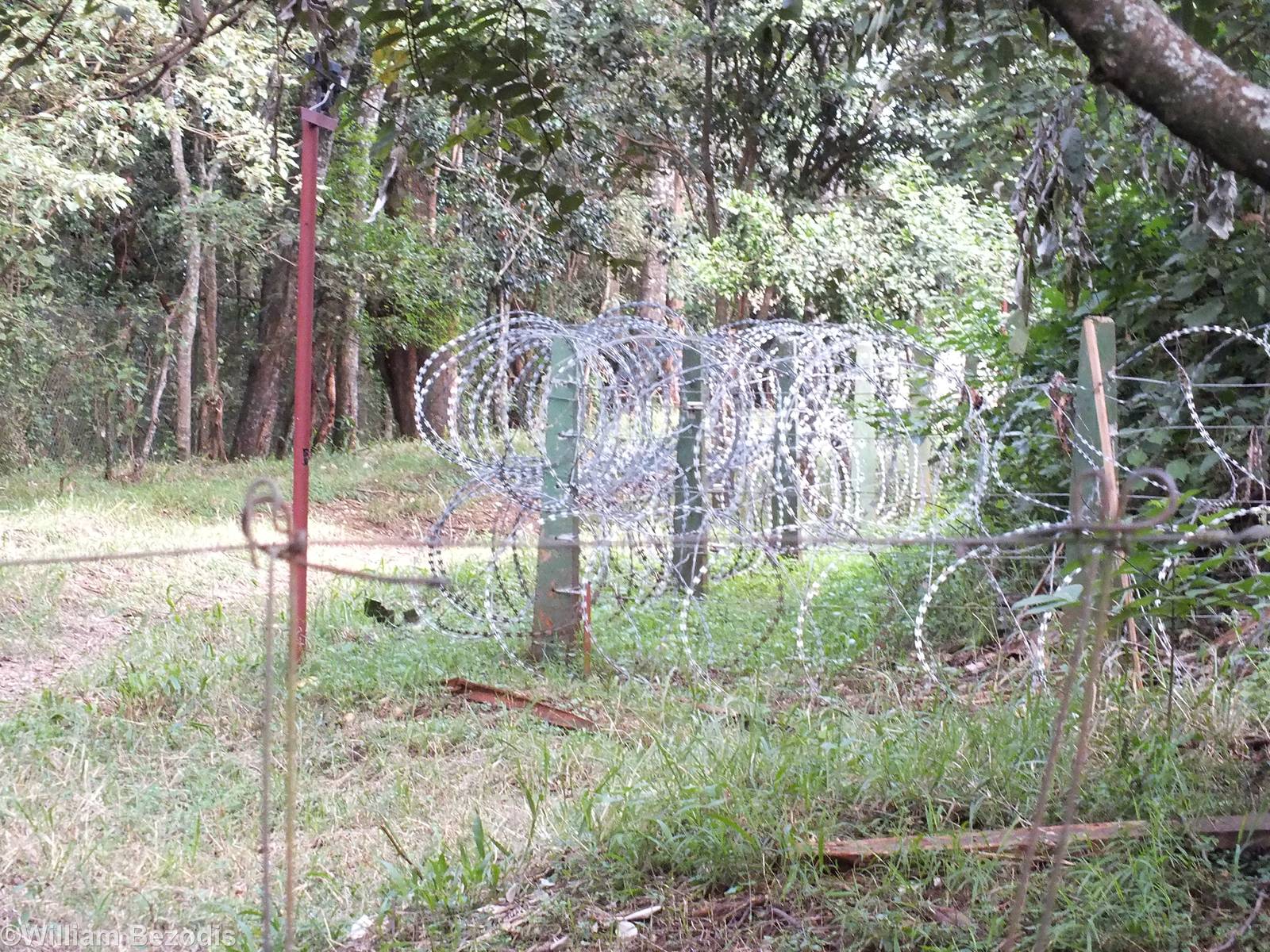 Rhino Security - Nairobi Safari Walk