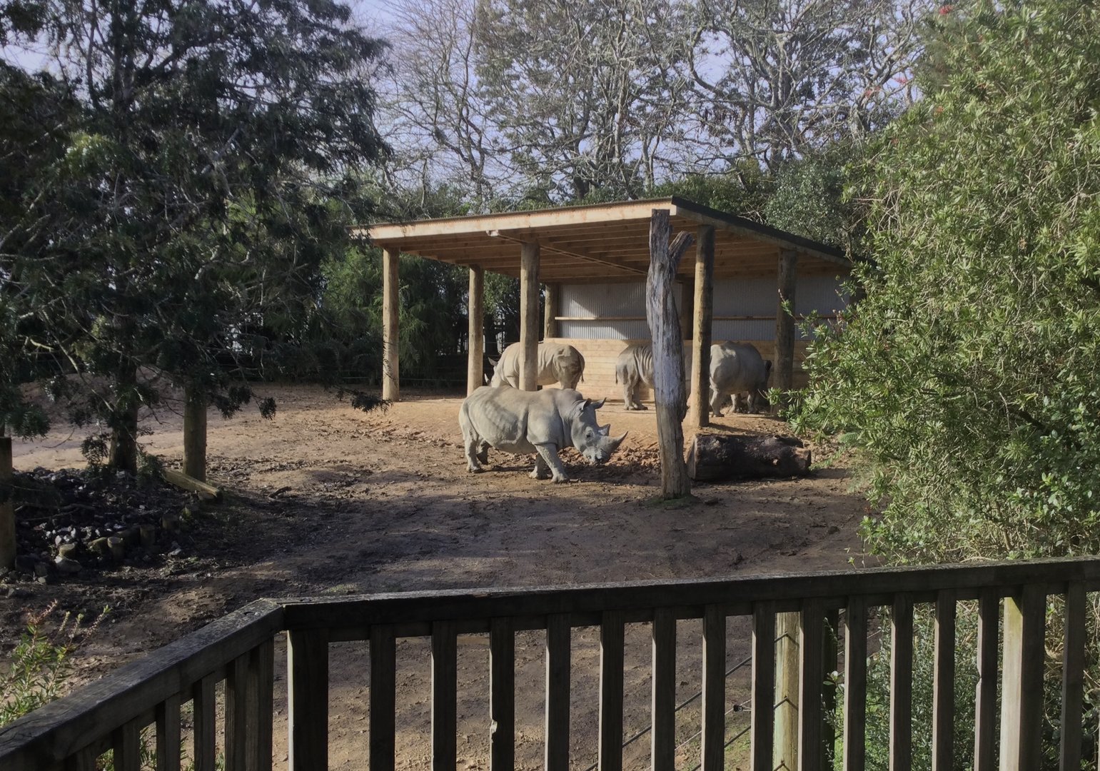 Rhino Shelter - Southern White Rhinoceros Exhibit