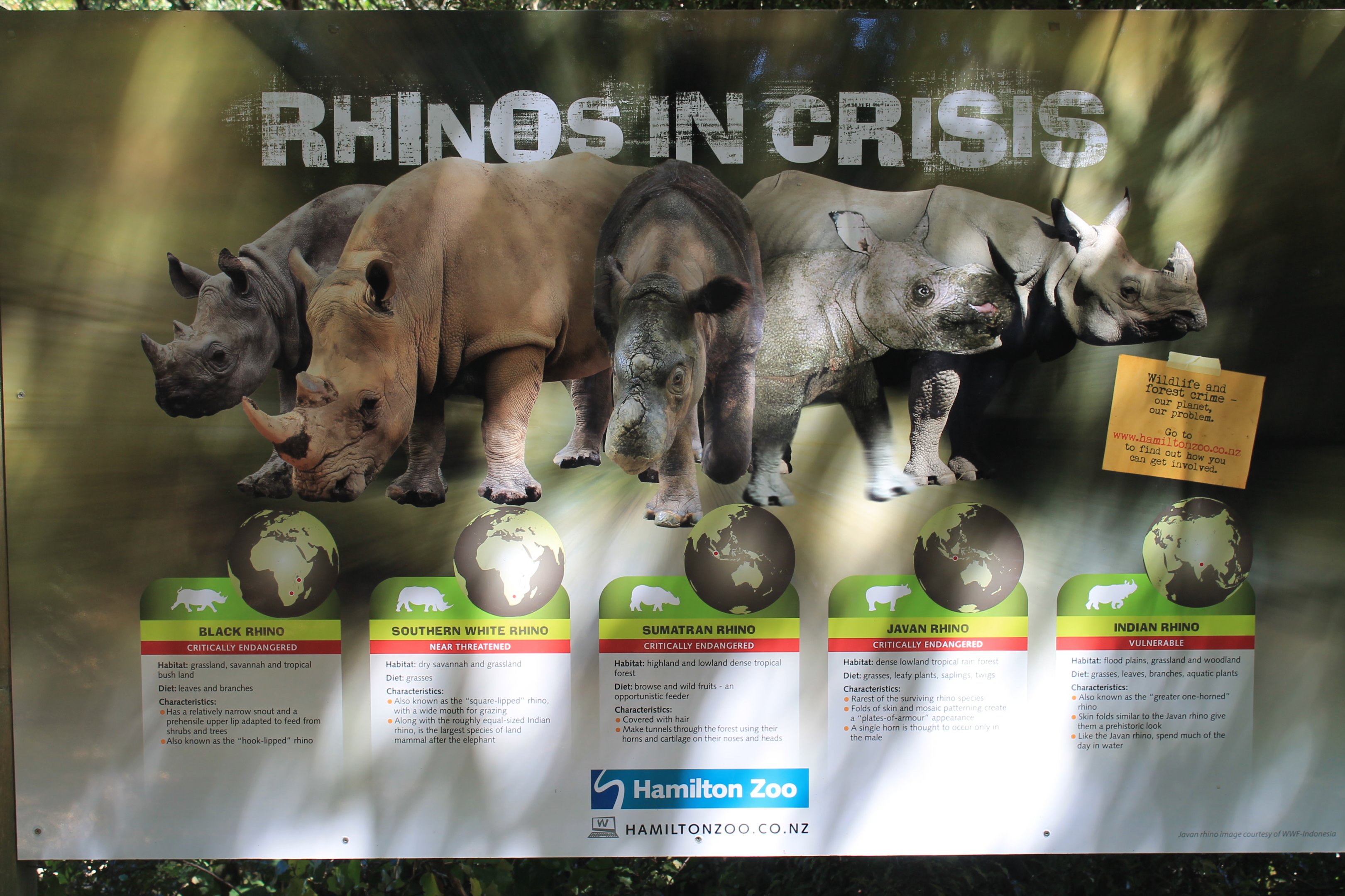 rhino signage