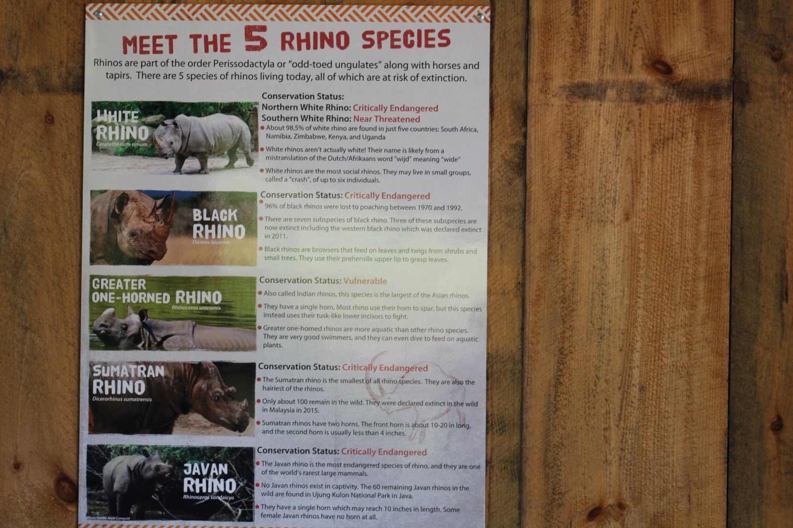 Rhino Species Sign