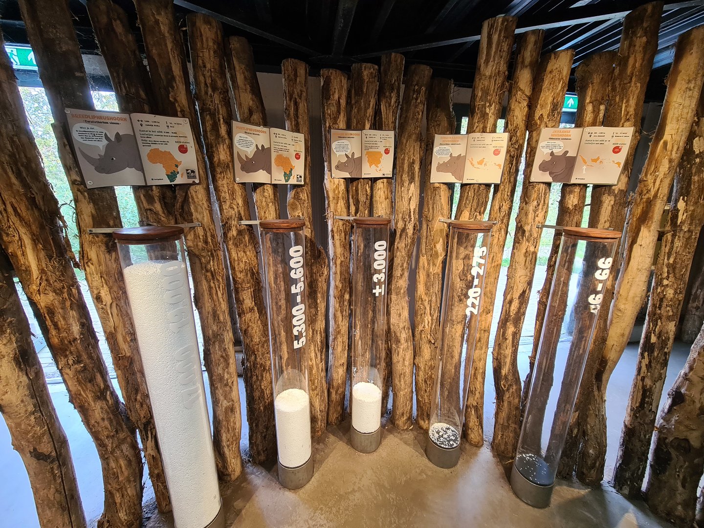 Rhino stables - interesting display on wild rhino numbers