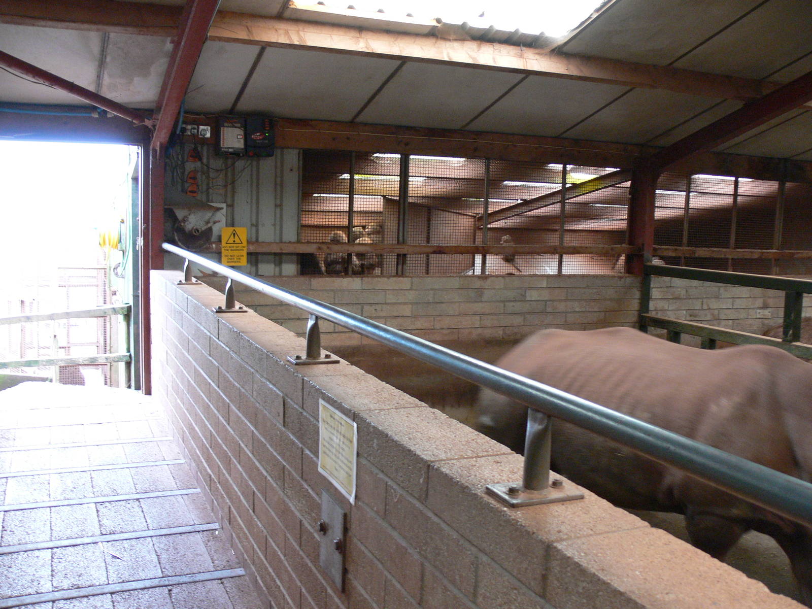 Rhino stalls and Baboon exhibit at South Lakes WAP 24/11/12