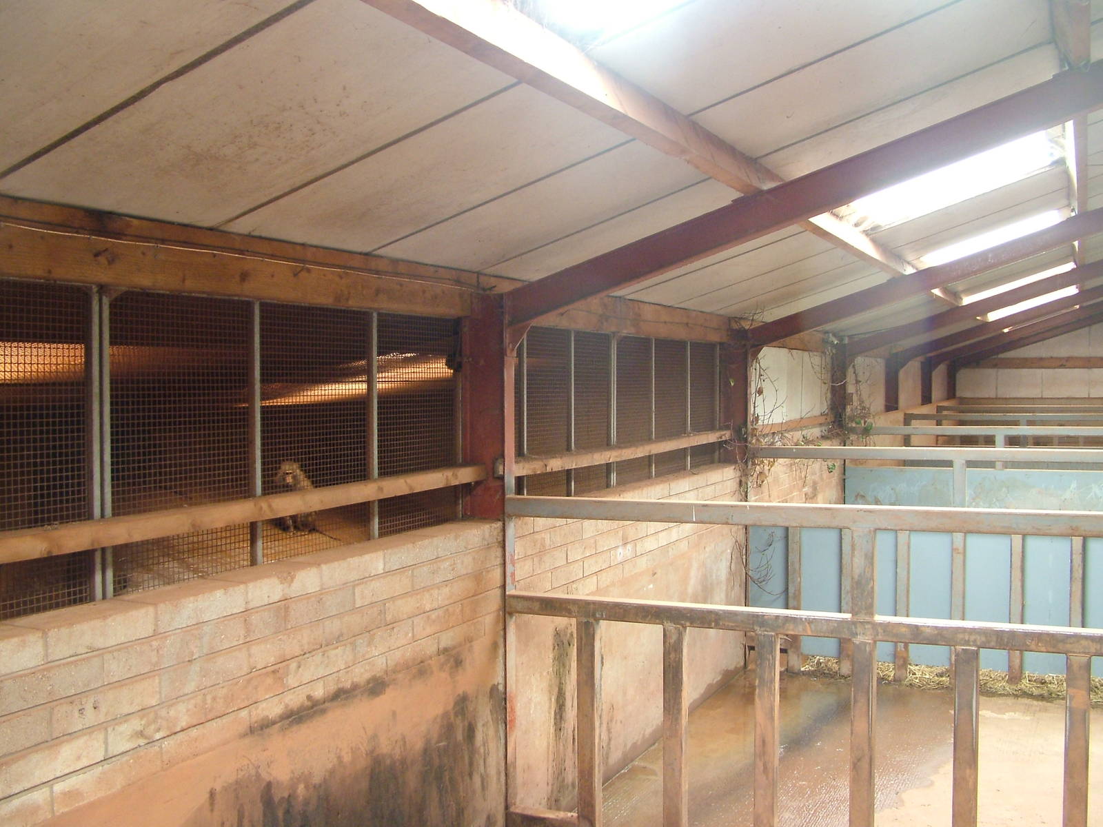 Rhino stalls and baboon housing at South Lakes WAP 2008