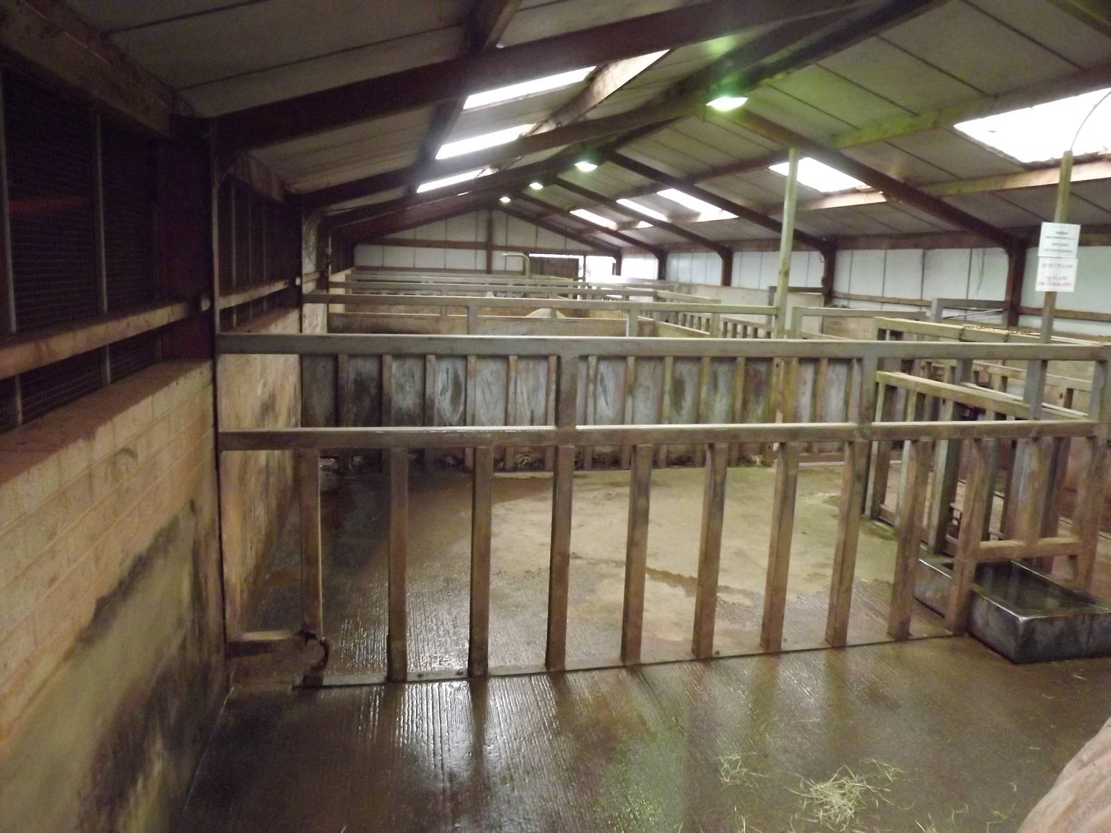 Rhino stalls at South Lakes WAP 26/11/11