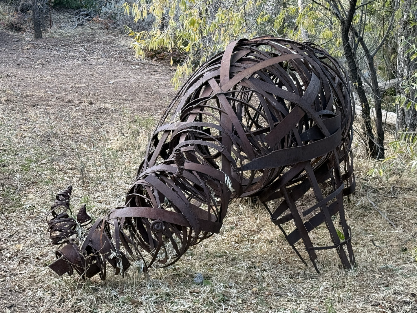 Rhino Statue - South Hill